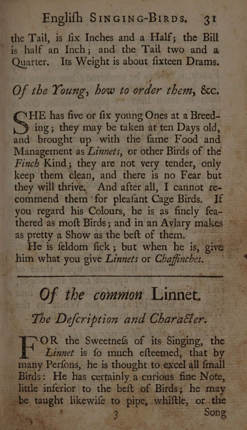 =~ the Tail, is fix Inches and.a Half; the Bill is half an Inch; and the Tail two and a Quarter. Its Weight is about fixteen Drams. Of the Young, how to order them, &c. HE has five or fix young Ones at a Breed- “ing; they may be taken at ten Days old, Finch Kind; they are not very tender, only keep them Sean, and there is no Féar but they will thtive. And after all, I cannot re- as pretty a Show as the beft of them. Of the common Linnet, — ~The Defcription and Charaéer. zs ~OR the Sweetnefs of its ‘Singing, ‘the Jet Sg
