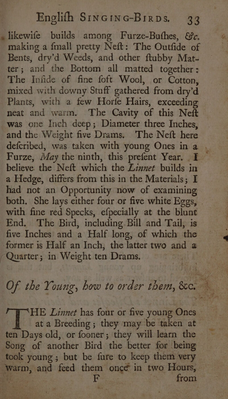 _likewife builds among Furze-Buthes, &ec, making a fmall pretty Neft: The Outfide of Bents, dry’d Weeds, and other ftubby Mat- ter; and the Bottom all matted together: The Iniide of fine foft Wool, or Cotton, mixed with downy Stuff gathered from dry’d Plants, with a few Horfe Hairs, exceeding neat and warm. The Cavity of this Neft was one Inch deep; Diameter three Inches, -and the Weight five Drams. The Neft here believe. the Neft which the Liunet builds in a Hedge, differs from this in the Materials; I had not an Opportunity now of examining with fine red Specks, efpecially at the blunt End. The Bird, including. Bill and Tail, is five Inches and a Half long, of which the former is Half an Inch, the latter two and a Quarter; in Weight ten Drams. HE Linnet has four or five young Ones at a Breeding ; they may be taken at ten Days old, or fooner; they will learn the Song of another Bird the better for being took young ; but be fure to keep them very ee cs, F | A rom Boe