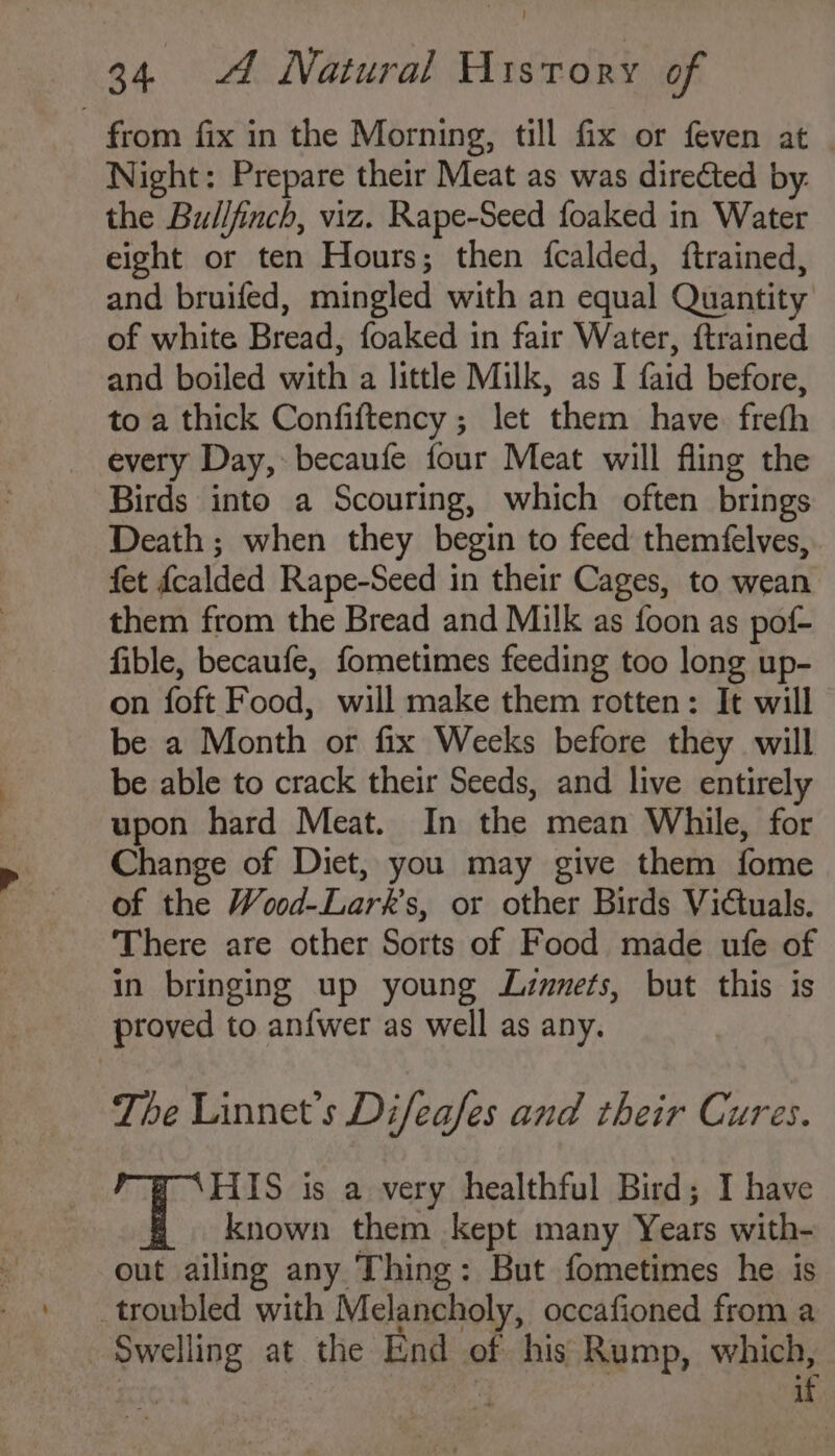 from fix in the Morning, till fix or feven at Night: Prepare their Meat as was directed by. the Bullfinch, viz. Rape-Seed foaked in Water eight or ten Hours; then {fcalded, ftrained, and bruifed, mingled with an equal Quantity of white Bread, foaked in fair Water, {trained and boiled with a little Milk, as I faid before, to a thick Confiftency ; let them have. freth every Day, becaufe four Meat will fling the Birds into a Scouring, which often brings Death ; when they begin to feed themfelves, fet {calded Rape-Seed in their Cages, to wean them from the Bread and Milk as foon as pof- fible, becaufe, fometimes feeding too long up- on foft Food, will make them rotten: It will be a Month or fix Weeks before they will be able to crack their Seeds, and live entirely upon hard Meat. In the mean While, for Change of Diet, you may give them fome of the Wood-Lark’s, or other Birds Victuals. There are other Sorts of Food made ufe of in bringing up young Linmets, but this is proved to anfwer as well as any. The Linnet’s Difeafes and their Cures. HIS is a very healthful Bird; I have known them kept many Years with- out ailing any Thing: But fometimes he is troubled with Melancholy, occafioned from a Swelling at the End of his Rump, which, ic ‘ if