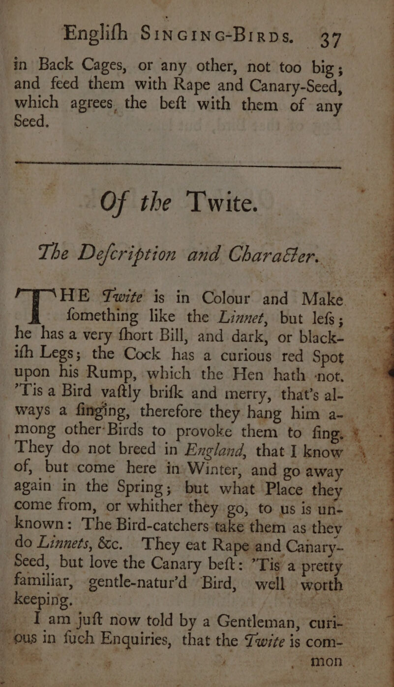 and feed them with Rape and Canary-Seed, which agrees the beft with them of any Seed. Of the Twite. The Defeription and Charafter.. fomething like the Linnet, but lef; he has a very fhort Bill, and dark, or black- ith Legs; the Cock has a curious red Spot upon his Rump, which the Hen hath ‘not, of, but come here in) Winter, and go away again in the Spring; but what Place they rd mets e ve i Bh Boot ae en,