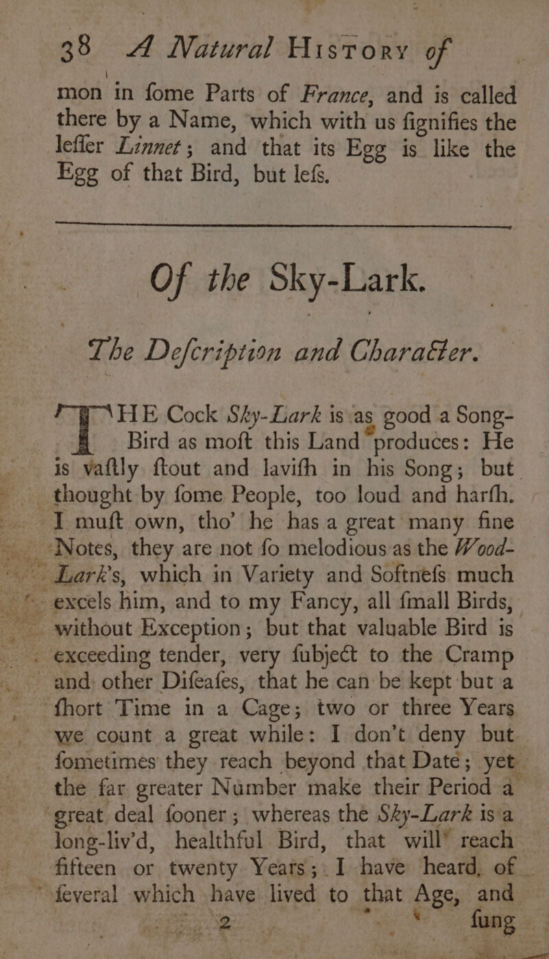 ‘mon in fome Parts of France, and is called there by a Name, which with us fignifies the lefler Linnet; and that its Egg is like the Figs of that Bird, but lefs. Of the Sky-Lark. The Defcription and Charaer. HE Cock Shy-Lark is.as good a Song- | Bird as moft this Land produces: He is vaftly ftout and lavith in his Song; but. thought by fome People, too loud and harth. I muft own, tho’ he has a great many fine ‘Notes, they are not fo melodious as the Wood- ~ Lark's, which in Variety and Softnefs much _ © excels him, and to my Fancy, all {mall Birds, without Exception; but that valuable Bird is _. exceeding tender, very fubject to the Cramp and: other Difeafes, that he can be kept but a ‘fhort Time in a Cage; two or three Years we count a great while: I don’t deny but - fometimes they reach beyond that Date; yet. the far greater Number make their Period a_ ‘great deal fooner; whereas the SAy-Lark isa Jong-liv’d, healthful Bird, that will’ reach fifteen or twenty Years; I have heard, of _ feveral which have lived to that Age, and_