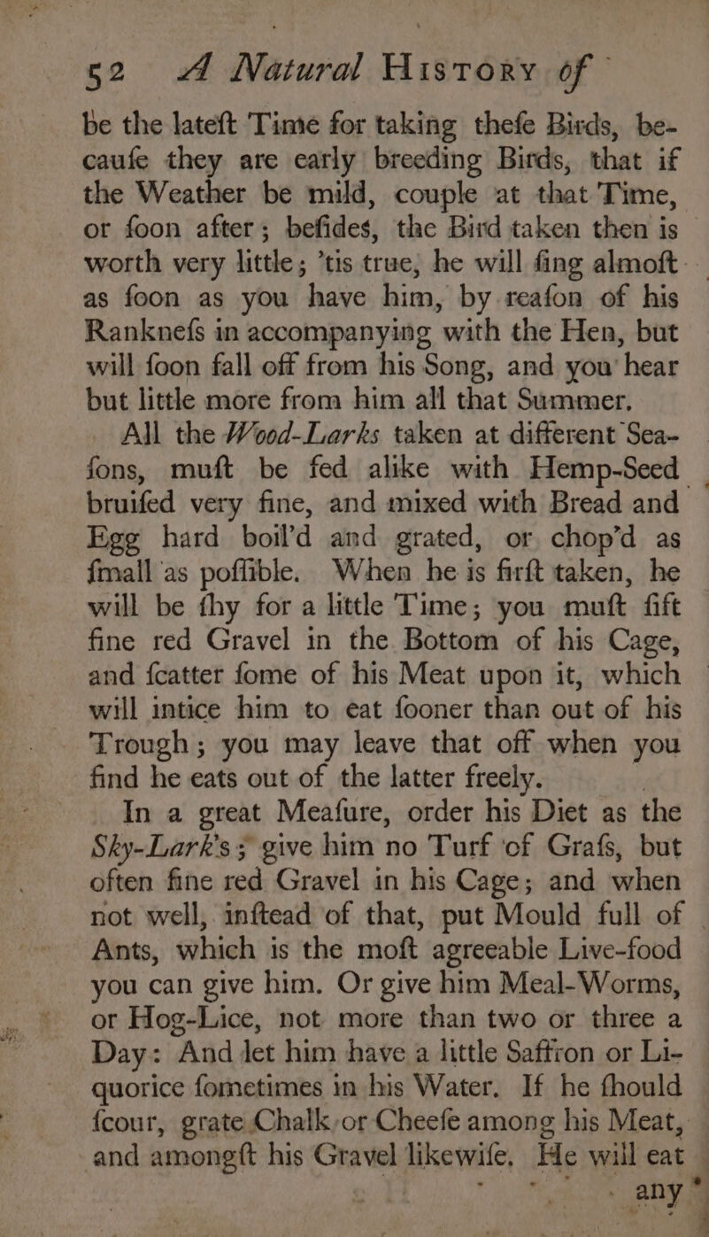 be the lateft Time for taking thefe Birds, be- caufe they are early breeding Birds, that if the Weather be mild, couple at that Time, as foon as you have him, by reafon of his Ranknefs in accompanying with the Hen, but will foon fall off from his Song, and you’ hear but little more from him all that Summer, All the Wood-Larks taken at different Sea- bruifed very fine, and mixed with Bread and Egg hard boil’d and grated, or, chop’d as fmall as poffible. When he is firft taken, he fine red Gravel in the Bottom of his Cage, will intice him to eat fooner than out of his _ Trough; you may leave that off when you find he eats out of the latter freely. In a great Meafure, order his Diet as the Sky-Lark’s; give him no Turf ‘of Grafs, but often fine red Gravel in his Cage; and when Ants, which is the moft agreeable Live-food you can give him. Or give him Meal-Worms, ot Hog-Lice, not more than two or three a Day: And let him have a little Saffron or Li- quorice fometimes in his Water. If he fhould {cour, grate Chalk or Cheefe among his Meat, - any * j