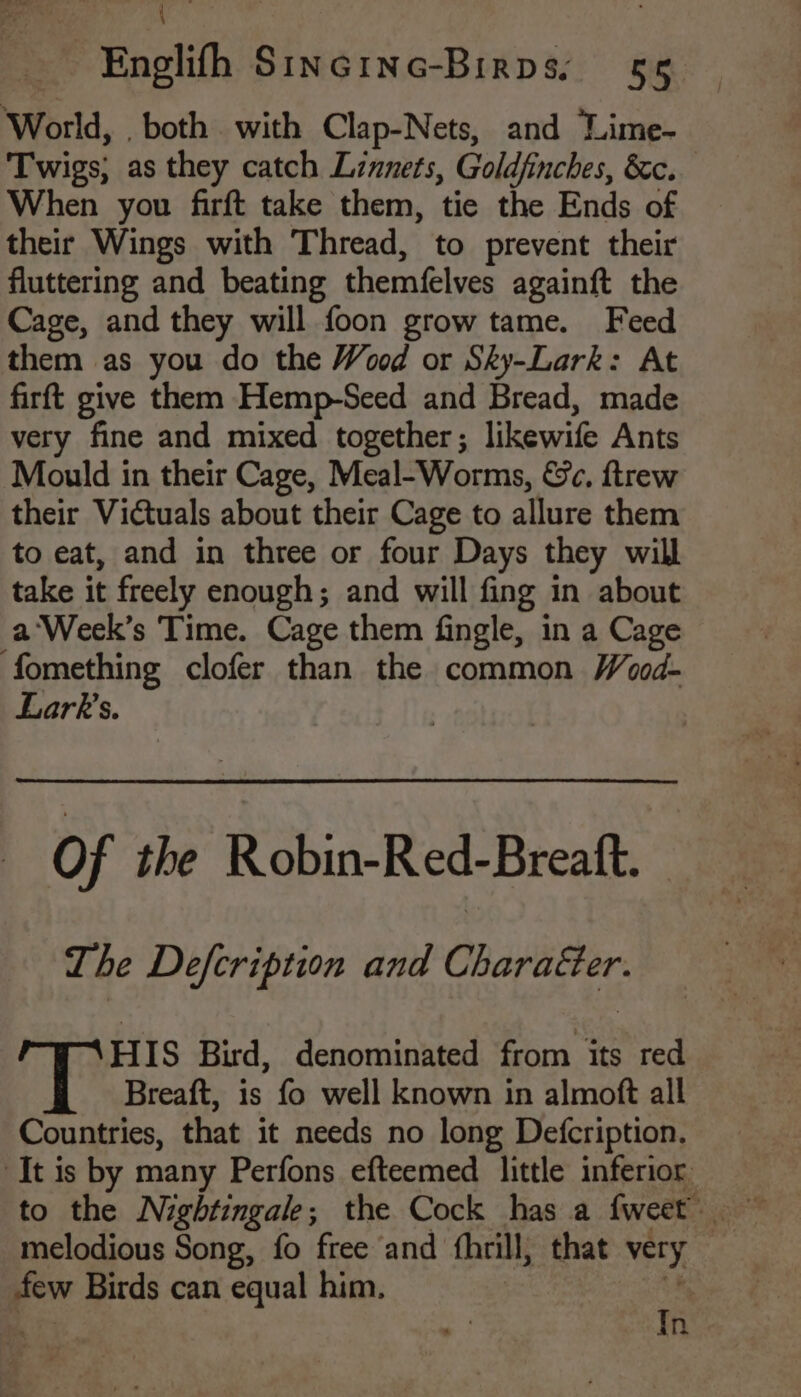 oe ; Englifh Sincinc-Birps: 55 World, both with Clap-Nets, and ‘Lime- Twigs, as they catch Linnets, Goldfinches, &c. When you firft take them, tie the Ends of their Wings with Thread, to prevent their fluttering and beating themfelves againft the Cage, and they will foon grow tame. Feed them as you do the Wood or Sky-Lark: At firft give them Hemp-Seed and Bread, made very fine and mixed together; likewife Ants Mould in their Cage, Meal-Worms, &c. ftrew their Victuals about their Cage to allure them to eat, and in three or four Days they will take it freely enough; and will fing in about a‘Week’s Time. Cage them fingle, in a Cage fomething clofer than the common Wood- Lark's. of the Robin-Red-Breaft. The Defcription and Charaéer. HIS Bird, denominated from its red Breaft, is fo well known in almoft all Countries, that it needs no long Defcription, It is by many Perfons efteemed little inferior few Birds can equal him.