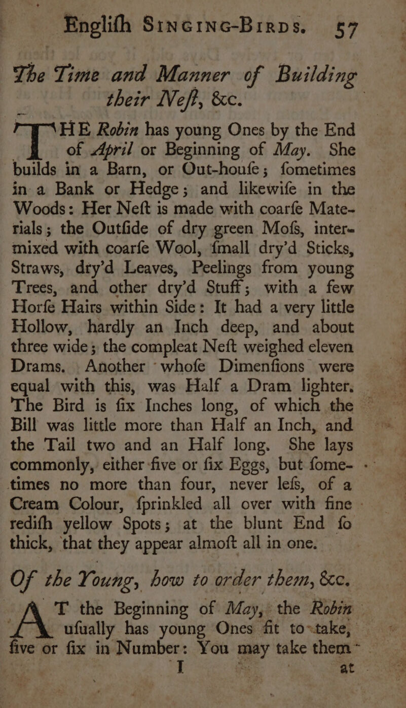 The Time and Manner of Building their WVeft, 8c. 3 HE Rodin has young Ones by the End of April or Beginning of May. She builds in a Barn, or Out-honfe; fometimes ina Bank or Hedge ; and likewife in the Woods: Her Neft is made with coarfe Mate- tials; the Outfide of dry green Mofs, inter- mixed with coarfe Wool, {mall dry’d Sticks, Straws, dty’d Leaves, Peelings from young Trees, and other dry’d Stuff; with a few Horfe Hairs within Side: It had a very little Hollow, hardly an Inch deep, and about three wide; the compleat Neft weighed eleven Drams. Another whofe Dimenfions were equal with this, was Half a Dram lighter. _— Bill was little more than Half an Inch, and the Tail two and an Half long. She lays commonly, either five or fix Eggs, but fome- - times no more than four, never lefs, of a Cream Colour, {prinkled all over with fine - tedifh yellow Spots; at the blunt End fo thick, that they appear almoft all in one. Of the Yi oun, how to order them, &c. | T the Beginning of May, the Robin . ufually has young Ones fit to: take, five or fix in Number: You any take them” | Mb, 3 ie
