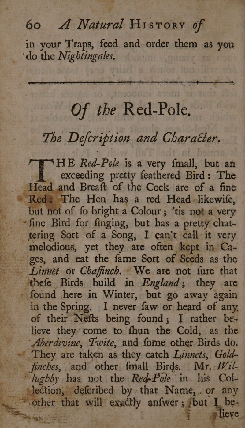 in your Traps, feed and order them as you ‘do the Nightingales, HE Red-Pole is a very f{mall, but an _ exceeding pretty feathered Bird: The ead and Breaft of the Cock are of a fine Red The Hen has a red Head -likewife, It not of fo bright a Colour; ’tis not a very aa ‘=fine Bird for finging, but has a pretty chat- tering Sort of a Song, I can’t call it very iaamodicus, yet they are often kept in. Ca- - ges, and eat the fame Sort of Seeds as the oe - Linmet or Chaffinch.. We are not fure that thefe. Birds build in England; they are + found here in Winter, but go away again in the Spring. I never faw or heard of ; any. of their Nefts being found; I rather be- lieve they» come to fhun the Cold, as the : ‘ Aberdivine, Twite, and fome other. Birds do. ‘= ‘They. are taken as they catch Linnets, Gold- ya finches, and other: fmall Birds. Mr. /¥72/- ‘ rei has not the Red-Pole in. his Col- lection; deferibed. by that Name,.. or any ther that will) exactly anfwer ; Pies be- lieve com. = = = bai ake .