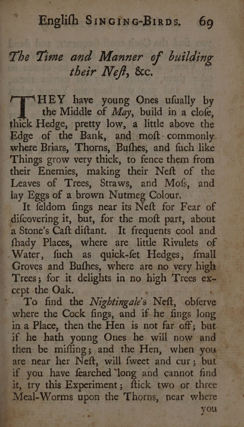 + The Time and Manner of building their Neft, &c. “HEY have young Ones ufually by the Middle of May, build in a clofe, thick Hedge, pretty low, a little above the _ Edge of the Bank, and moft- commonly. __ where Briars, Thorns, Bufhes, and fuch like _ Things grow very thick, to fence them from their Enemies, making their Neft of the Leaves of Trees, Straws, and Mofs, and lay Eggs of a brown Nutmeg Colour. It feldom fings near its Neft for Fear of difcovering it, but, for the moft part, about ‘a Stone’s Caft diftant, It frequents cool and fhady Places, where are little Rivulets of — Groves and Bufhes, where are no very high Trees; for it delights in no high Trees ex- cept the Oak. To find the Nightingale’s s Neft, obferve where the Cock fings, and if. he fings long - ina Place, then the Hen is not far off; but. ‘if he hath young Ones he will now and _ then be mifling; and the Hen, when you ~ are near her Neft, will fweet and cur; but. if you have fearched “long and cannot find it, try this Experiment ;. ftick two or three ‘' Meal-Worms upon the Thorns, near where a you —o