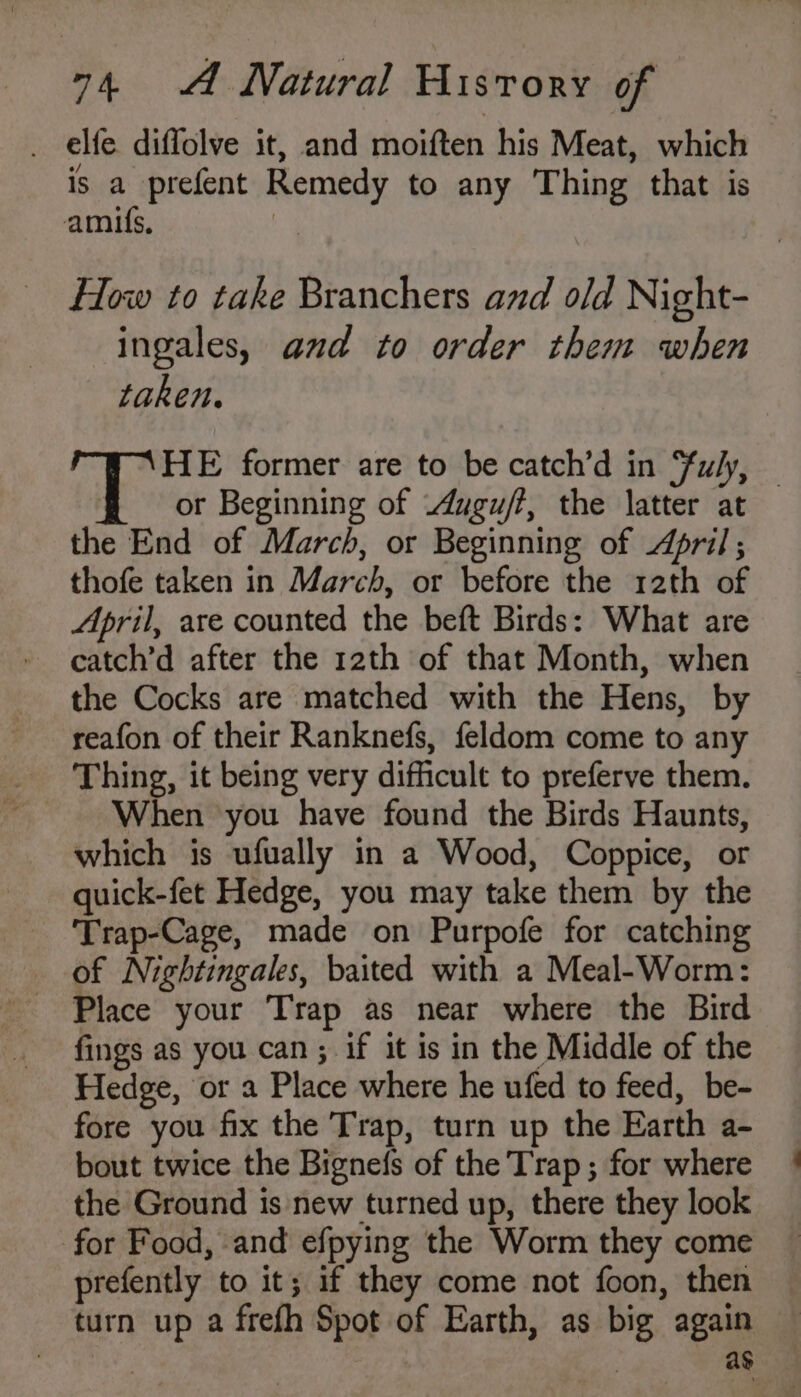 . elfe diflolve it, and moiften his Meat, which is a prefent Remedy to any Thing that is amis, Y How to take Branchers and old Night- ingales, and to order them when taken. HE former are to be catch’d in Fuly, — or Beginning of Augu/t, the latter at the End of March, or Beginning of April; thofe taken in March, or before the 12th of April, are counted the beft Birds: What are catch’d after the 12th of that Month, when the Cocks are matched with the Hens, by reafon of their Ranknefs, feldom come to any Thing, it being very difficult to preferve them. When you have found the Birds Haunts, which is ufually in a Wood, Coppice, or quick-fet Hedge, you may take them by the Trap-Cage, made on Purpofe for catching of Nightingales, baited with a Meal-Worm: Place your Trap as near where the Bird fings as you can ; if it is in the Middle of the Hedge, or a Place where he ufed to feed, be- fore you fix the Trap, turn up the Earth a- bout twice the Bignefs of the Trap; for where the Ground is new turned up, there they look for Food, and efpying the Worm they come prefently to it; if they come not foon, then turn up a frefh Spot of Earth, as big again ag