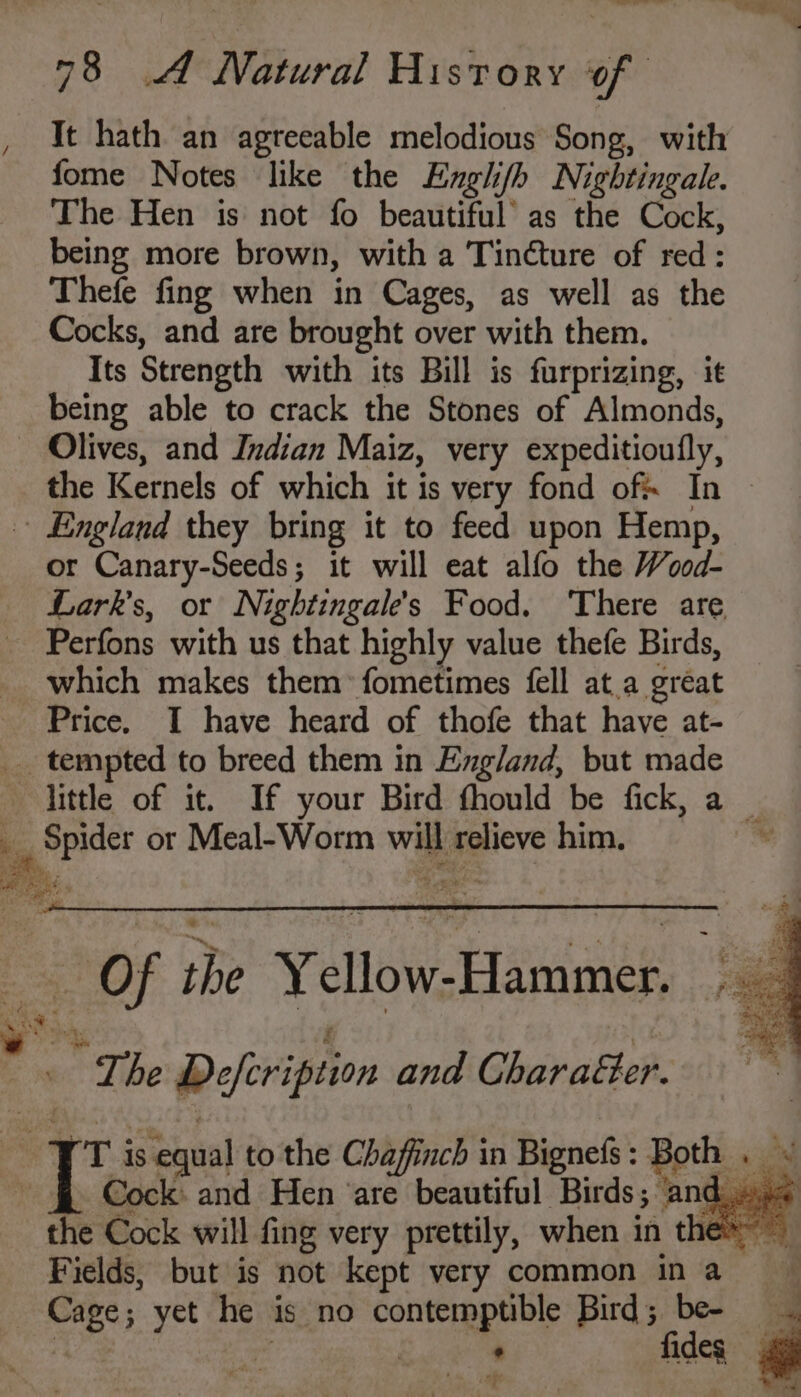 — ss - + 78 4 Natural History of It hath an agreeable melodious Song, with fome Notes like the Englifh Nightingale. The Hen is not fo beautiful’ as the Cock, being more brown, with a Tincture of red: Thefe fing when in Cages, as well as the Cocks, and are brought over with them. Its Strength with its Bill is furprizing, it being able to crack the Stones of Almonds, or Canary-Seeds; it will eat alfo the Wood- Lark's, or Nightingale’s Food. There are Perfons with us that highly value thefe Birds, which makes them: fometimes fell at.a great Price. I have heard of thofe that have at- 5 ei e Spider or Meal-Worm will relieve him. the Cock will fing very prettily, when in t Cage; yet he is no contemptible Bird; be- ie es : fides F 3 vod