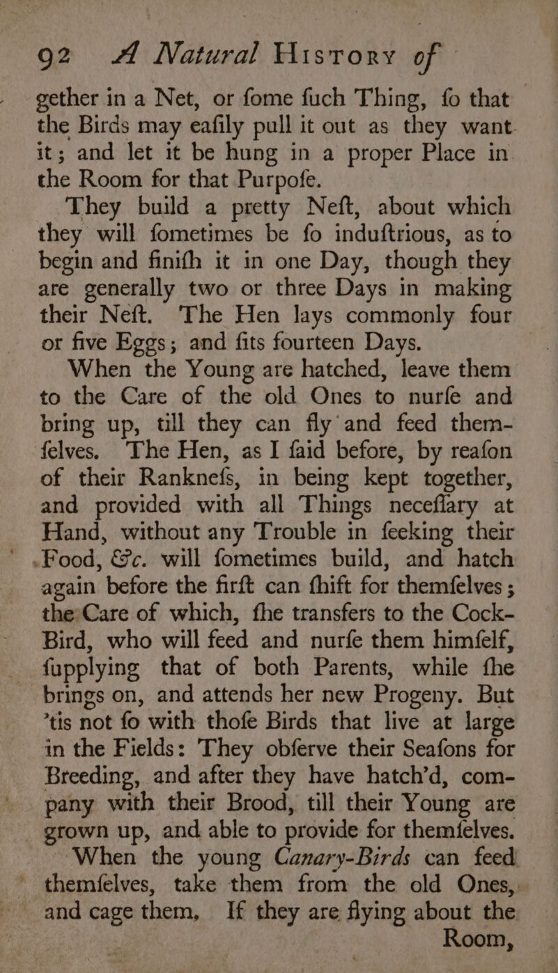 gether in a Net, or fome fuch Thing, fo that the Birds may eafily pull it out as they want. it; and let it be hung in a proper Place in. the Room for that Purpofe. They build a pretty Neft, about which they will fometimes be fo induftrious, as to begin and finifh it in one Day, though they are generally two or three Days in making their Neft. ‘The Hen lays commonly four or five Eggs; and fits fourteen Days. | When the Young are hatched, leave them to the Care of the old Ones to nurfe and bring up, till they can fly and feed them- felves. The Hen, as I faid before, by reafon of their Ranknefs, in being kept together, and provided with all Things neceflary at Hand, without any Trouble in feeking their again before the firft can fhift for themfelves ; the»Care of which, fhe transfers to the Cock- Bird, who will feed and nurfe them himfelf, fupplying that of both Parents, while fhe brings on, and attends her new Progeny. But tis not fo with thofe Birds that live at large in the Fields: They obferve their Seafons for Breeding, and after they have hatch’d, com- pany with their Brood, till their Young are _ grown up, and able to provide for themtelves. ‘When the young Canary-Birds can feed ~ themfelves, take them from the old Ones, and cage them, If they are flying about the : Room,