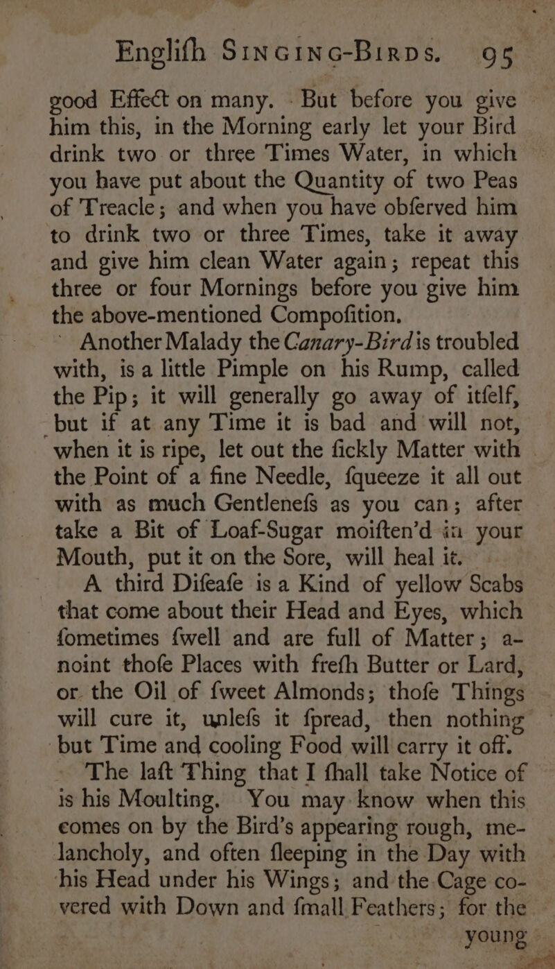 good Effect on many. - But before you give him this, in the Morning early let your Bird drink two or three Times Water, in which you have put about the Quantity of two Peas of Treacle; and when you have obferved him to drink two or three Times, take it away and give him clean Water again; repeat this three or four Mornings before you give him the above-mentioned Compofition, ~ Another Malady the Canary-Bird is troubled with, isa little Pimple on his Rump, called the Pip; it will generally go away of itfelf, but if at any Time it is bad and will not, when it is ripe, let out the fickly Matter with © the Point of a fine Needle, fqueeze it all out with as much Gentlenefs as you can; after take a Bit of Loaf-Sugar moiften’d iu your Mouth, put it on the Sore, will heal it. A third Difeafe isa Kind of yellow Scabs that come about their Head and Eyes, which fometimes {well and are full of Matter; a- noint thofe Places with frefh Butter or Lard, or. the Oil of {weet Almonds; thofe Things will cure it, unlefs it fpread, then nothing but Time and cooling Food will carry it off. The laft Thing that I thall take Notice of is his Moulting, You may know when this eomes on by the Bird’s appearing rough, me- Jancholy, and often fleeping in the Day with his Head under his Wings; and the Cage co- vered with Down and fmall Feathers; for the young ee