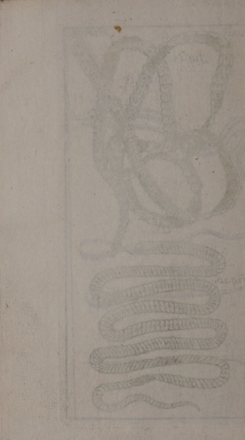 a RL el à a \ le bind * :