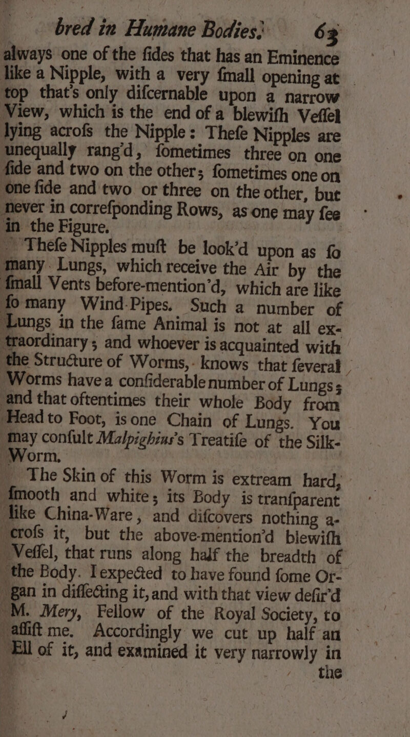 always one of the fides that has an Eminence like a Nipple, with a very fmall opening at top that’s only difcernable upon a narrow View, which is the end of a blewifh Veflel lying acrofs the Nipple: Thefe Nipples are unequally rang’d, fometimes three on one fide and two on the other; fometimes one on ‘One fide and two or three on the other, but never in correfponding Rows, as one may fee in the Figure. | … Thefe Nipples muft be look’d upon as fo many . Lungs, which receive the Air by the Amall Vents before-mention’d, which are like fomany Wind-Pipes. Such a number of ‘Lungs in the fame Animal is not at all ex- ‘traordinary and whoever is acquainted with the Strudure of Worms,- knows that feveral , Worms havea confiderable number of Lungs ; ‘and that oftentimes their whole Body from ‘Head to Foot, isone Chain of Lungs. You “May confult Malpighins’s Treatife of the Silk- Worm. | | … The Skin of this Worm is extream hard, Amooth and white; its Body is tranfparent Mike China-Ware , and difcovers nothing a- “crofs it, but the above-mention’d blewifh _Veffel, that runs along half the breadth of the Body. Texpeced to have found fome Or- Ban in diflecting it, and with that view defir'd “M. Mery, Fellow of the Royal Society, to “añiftme. Accordingly we cut up half an ~ “Ell of it, and examined it very narrowly * x | _ the » #