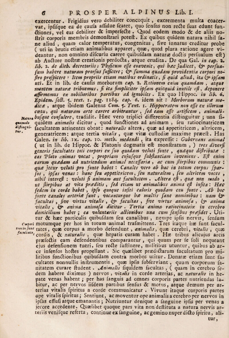 exercentur. Frigidius vero debiliter concoquit , excrementa multa coacer¬ vat, ipfifque ea de caufa alfidue fcatec, quo fenfns non redie fuas edunt fun- diones, vcl eas debiliter Sc imperfe(fi:e . Qpod eodem modo & de aliis no- ilris corporis membris demonftrari poteft. Ex quibus quidem natura nihil fa- ne aliud , quam calor temperatus, congenitus, five innatus creditur probe ( uti in brutis etiam animalibus apparet, quae, quod plura ratione agere vi¬ deantur, non omnino dlfcurlu carere quibufdam naturae dodis perfuafum eft) ab Audore noftrx creationis perdoda, atque erudita. De qua Gal. //? cap. 2. Uh, 3. de dieb^ decretorih: Vbyjicum ejfe convenit^ qui hdsc judicet^ perfua» fum habere naturam prorfus fufficere; fumma quadam providentia corpori no» firo profpicere ? Item propriis etiam motibus ordinatis^ fi quid aliud^ itaijn ipfam uti» Et in lib. de caufis morborum cap, 2. Rationem enim quamdam , atque mentem naturae tribuemus, fi ita fimpliciter ipfam quicquid inutile e fi, deponere affirmemus ex nobilioribus partibus ad ignobiles . Ex quo Hippoc. in lib» 6, ipidem» feB, 5. text» i. pag» 1184. cap» 6* idem ait : Morborum natura me» dica j atque ibidem Galenus Com, %» Text» i. Hippocratem non effe ex illorum coetu-i qui naturam arte carere arbitrantur , fed eam ejfe artificem , animali» Naturd bufque confulerey tradidit. Haec vero triplici differentia diftinguitur ; una fi- fnoTHodo quidem animalis dicitur , quod fundfiones ad animam , feu ratiocinatricem difiiniui- facultatem attinentes obeat; naturalis altera, quae ad appetitricem , altricem, generatricem: atque tertia vitalis , quae vitae cuftodiae maxime praeeft. Has Galen. in lib, ix. cap» 10. meth» medendi , ita expreffjt ; Gubernans animal ( ut in lib. de Hippoc. & Platonis dogmatis eft monftratum , ) tres diverfi generis facultates toti corpori ex fuo quodam veluti fonte , quaque dijiributa : eas Rlato animas vocat , propriam cujufque fubftantiam inveniens » Efl enim earum quadam ad nutriendum animal necejfaria , ac cum ftirpibus communis : qua jecur vduti pro fonte habet : Canales vero ab hac in totum corpus fpar» fos , ipfas venas : hanc feu appetitricem ^ feu naturalem , feu altricem voces , nihil interefl : veluti fi animam aut facultatem » Mltera efi , qua non modo , ut ftirpibus at vita praditis, fed etiam ut animalibus anima eji infita: Hac fidem in corde habet, ipfo quoque infiti caloris quodam ceu fonte » Mb hoc fonte canales arteria funt , vocanturque ha multis fane nominibus ; nam is^ facultas , five virtus vitalis , ^ facultas , five virtus animofa , anima vitalis , anima animofa dicitur . Tertia animps^ ratiocinatrix in cerebro domicilium habet ; ea voluntariis aBiombus una cum fenfibus prafidet » Uti¬ tur dc haec particulis quibufdam feu canalibus , nempe ipfis nervis, fenfum Corpori motumque per hos in totum animal trafmittens. Tres itaque hae funt facul- fresinjunt ^ quaB corpus a morbo defendunt , animalis i quae cerebri, vitalis , quae f4c» satfj ^ ^ naturalis , quae hepatis curam habet . Hae tribus alicujus arcis praefedis eam defendentibus comparantur , qui quum per fe foli nequeant ejus defenfionera tueri, feu rede 1'uftinere, militibus utuntur, quibus ab ar¬ ce infenfos hoftes propellant . Sic quaelibet praedirarum facultatum pro mi¬ litibus fundionibus quibufdam contra morbos utitur. Donatae etiam funt fa¬ cultates nonnullis inllrumentis , quae ipfis fubferviant , quum corporum fa- nitatem curare ftudent . Animalis fiquidem facultas , ( quam in cerebro fe- dem habere diximus ) nervos , vitalis in corde arterias, ac naturalis in he¬ pate venas habent ; per has (anguis ad omnes corporis partes nutriendas la- bitur, ac per nervos iifdem partibus fenfus Sc motus, atque demum per ar¬ terias vitalis fpiritus a corde communicatur . Vivunt itaque corporis partes ©pe vitalis fpiritus; Sentiunt, ac moventur ope animalis a cerebro per nervos in ipfas effufi atque eriianantis ^ Nutriuntur denique a fanguine ipfis per venas a jecore accedente. Quaelibet quoque pars vita nondeftituta a natura nervis ar¬ teriis venjfque referta, continue ex fanguine, acgemino nuper dido fpiritu, ali¬ tur,