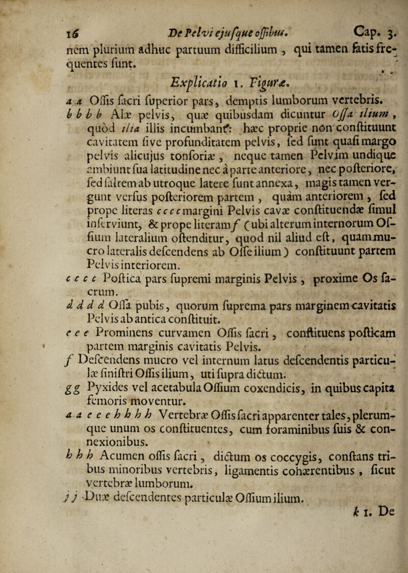 nem plurium adhuc partuum difficilium , qui tamen fatis fre¬ quentes fuiit. # ' Explicatio 1. Figura:. 44 Olfis facri fuperior pars, demptis lumborum vertebris. b b b b Alce pelvis, quae quibusdam dicuntur Ojja ilium , quod ilia illis incumbant?: haec proprie non conftituunt cavitatem live profunditatem pelvis, fed funt quafimargo pelvis alicujus tonforiae, neque tamen Pelvim undique ambiunt fua latitudine nec a parte anteriore, nec pofteriore, fed laltem ab utroque latere funt annexa, magis tamen ver¬ gunt verfus pofteriorem partem , quam anteriorem , fed prope literas ccccmargini Pelvis cavae conftituendae fimul inferviunt, & prope literam/ ( ubi alterum internorum Of- fium lateralium o (tenditur, quod nil aliud eft, quammu- cro lateralis defeendens ab Offeilium) conftituunt partem Pel vis interiorem. cccc Poftica pars fupremi marginis Pelvis , proxime Os fa- crum. d d d d Olla pubis, quorum fuprema pars marginem cavitatis Pelvis ab antica conftituit. e e e Prominens curvamen Offis facri, conftituens poftkam partem marginis cavitatis Pelvis. / Defeendens mucro vel internum latus defeendentis particu¬ lae finiftri Offis ilium, uti fupra didum. gg Pyxides vel acetabula Offium coxendicis, in quibus capita femoris moventur. aaccehhhh Vertebrae Offis facri apparenter tales, plerum¬ que unum os conflituentes, cum foraminibus fuis & con¬ nexionibus. h h h Acumen offis facri, didum os coccygis, conflans tri¬ bus minoribus vertebris, ligamentis cohaerentibus , ficut vertebrae lumborum. JJ Dux defeendentes particulae Oifiumilium.