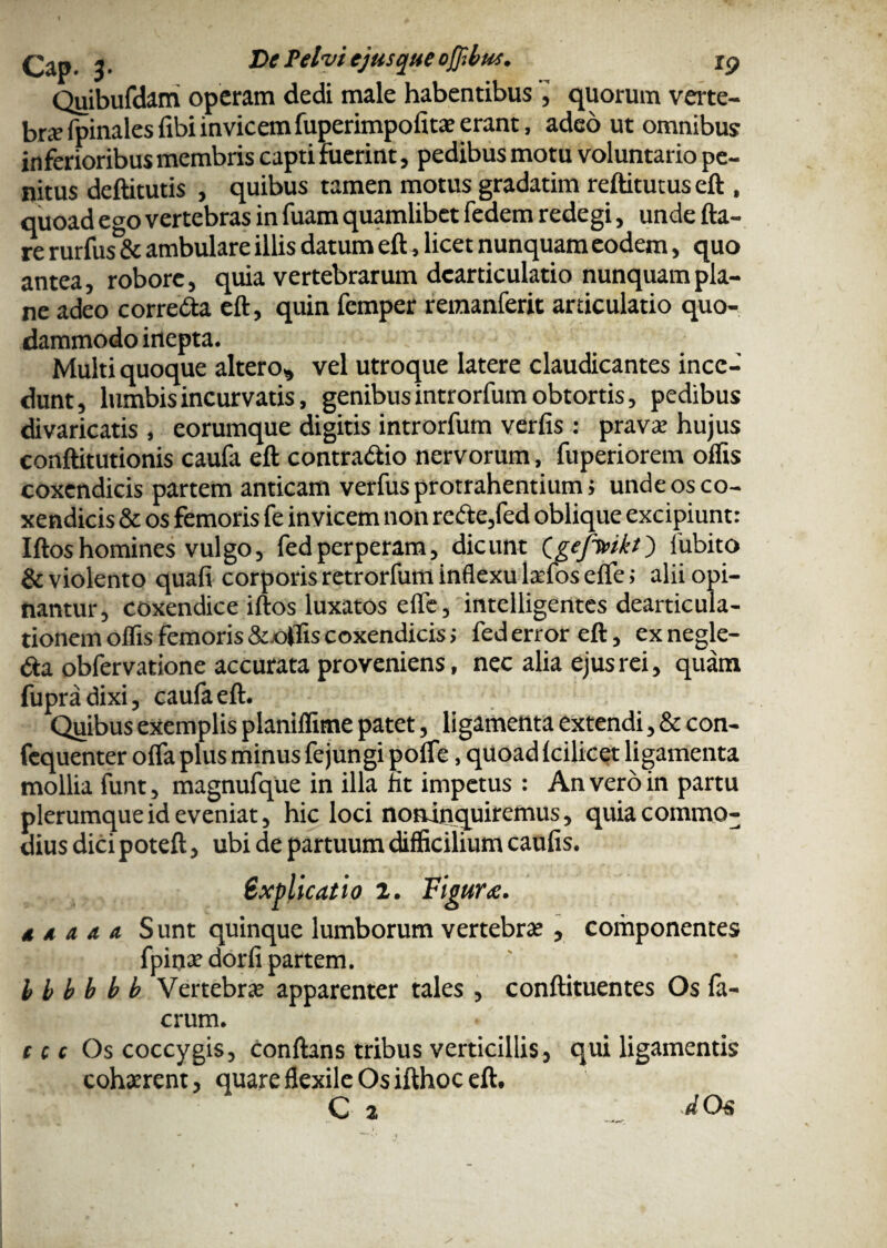 £ap_ j. De Pelvi ejusqueofltbus. rp Quibufdam operam dedi male habentibus , quorum verte¬ bra fpinalesfibiinvicemfuperimpofitaeerant, adeo ut omnibus inferioribus membris capti fuerint, pedibus motu voluntario pe¬ nitus deftitutis , quibus tamen motus gradatim reftitutus eft , quoad ego vertebras in fuam quamlibet fedem redegi, unde fla¬ re rurfus&ambulare illis datum eft, licet nunquam eodem, quo antea, robore, quia vertebrarum dcardculatio nunquam pla¬ ne adeo correda eft, quin femper reraanferit articulatio quo¬ dammodo inepta. Multi quoque altero, vel utroque latere claudicantes ince¬ dunt, lumbis incurvatis, genibus introrfum obtortis, pedibus divaricatis , eorumque digitis introrfum verfis : prava* hujus conftitutionis caufa eft contradio nervorum, fuperiorem offis coxendicis partem anticam verfus protrahentium j unde os co¬ xendicis & os femoris fe invicem non rede,fed oblique excipiunt: Iftoshomines vulgo, fedperperam, dicunt (gejivikt) fubito & violento quafi corporis retrorfum inflexu lasfos efle; alii opi¬ nantur, coxendice iftos luxatos efle, intelligentes dearticuia- tionem olfis femoris & offis coxendicis; fed error eft, exnegle- da obfervatione accurata proveniens, nec alia ejus rei, quam fupradixi, caufa eft. Quibus exemplis planiffime patet, ligamenta extendi, & con- fequenter offa plus minus fejungi pofle, quoad fcilicet ligamenta mollia funt, magnufque in illa nt impetus : An vero in partu plerumque id eveniat, hic loci noninquiremus, quia commo¬ dius dici poteft, ubi de partuum difficilium caulis. Explicatio 2. Figura. d a a a a S unt quinque lumborum vertebras , componentes fpinae dorfi partem. b b b b b b Vertebras apparenter tales , conftituentes Os fa- crum. ccc Os coccygis, conflans tribus verticillis, qui ligamentis cohasrent, quare flexile Os ifthoc eft.