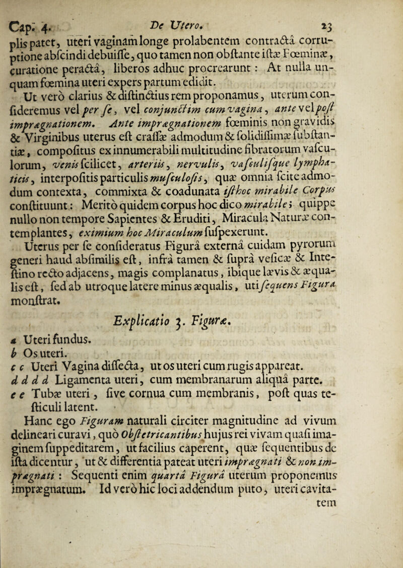 piis patet, uteri vaginam longe prolabentem contradi corru¬ ptione abfcindidebuifte, quo tamen non obftante iftae Foeminae, curatione perada, liberos adhuc procrearunt: At nulla un¬ quam femina uteri expers partum edidit. Ut vero clarius &diftindius rem proponamus, uterum con¬ fideremus Vel per fe, vel conjunchm cum vagina, anteve\pcjl imprAgnationem* Ante impr agnationem feminis non gravidis & Virginibus uterus eft craffae admodum &folidiffimaelubftan- fe, compofitus ex innumerabili multitudine fibratorum vafeu- lorum, fcilicet, arteriis, nervulis, vafculifque lympha¬ ticis , interpofitis particulis mufculofis^ qua? omnia fcite admo¬ dum contexta, commixta & coadunata ijlhoc mirabile Corpus conftituunt: Merito quidem corpus hoc dico mirabile i quippe nullo non tempore Sapientes & Eruditi, Miracula Natura: con¬ templantes , eximium hoc Miraculum fufpexerunt. Uterus per fe confideratus Figura externa cuidam pyrorum generi haud abfimilis eft, infra tamen &: fupra veficae & Inte- ftino redo adjacens, magis complanatus, ibique laevis & aequa¬ lis eft, fed ab utroque latere minus aequalis, utifcquens Figura moaftrat. Explicatio 3. Eigur*. a Uteri fundus. b Os uteri. cc Uteri Vagina diffeda, ut os uteri cum rugis appareat. d d d d Ligamenta uteri, cum membranarum aliqua parte. e e Tubae uteri, fi ve cornua cum membranis, poft quas te- fticuli latent. Hanc ego Figuram naturali circiter magnitudine ad vivum delineari curavi, quo Objletricantibushujws rei vivam quafi ima¬ ginem fuppeditarem, ut facilius caperent, quae fequentibus de ifta dicentur, ut & differentia pateat uteri impr agnati & non im¬ pr agnati : Sequenti enim quarta Figura uterum proponemus impraegnatum. Id vero hic loci addendum puto, uteri cavita¬ tem