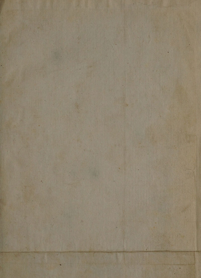 Lg etos orae c al ge -— ot