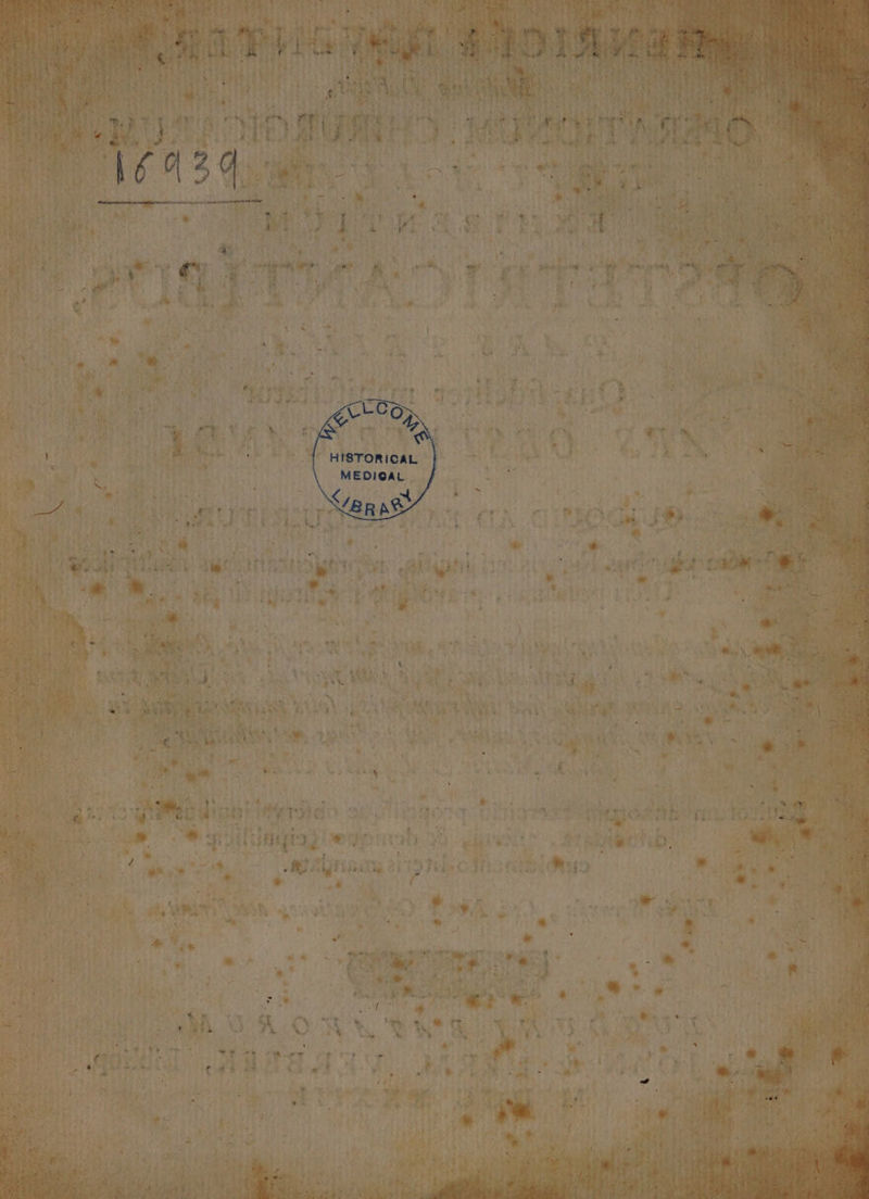  T  LU » Mes] AL - N HISTORIC b Lal aq 0o 7 e Rn 4e cn is d obe enu qoe rt a wir iyeta