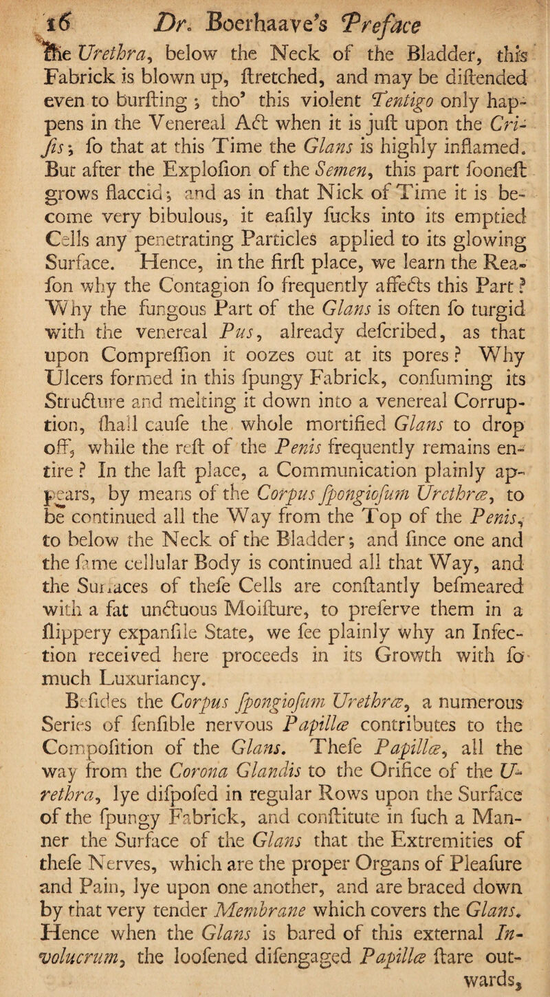 Ifie Urethra, below the Neck of the Bladder, this Fabrick is blown up, ftretched, and may be diftended even to burfting ; tho9 this violent lentigo only hap¬ pens in the Venereal Adi when it is juft upon the Cri- fis\ fo that at this Time the Gians is highly inflamed. But after the Explofion of the Semen, this part fooneft grows flaccid; and as in that Nick of Time it is be¬ come very bibulous, it eafily fucks into its emptied Cells any penetrating Particles applied to its glowing Surface. Hence, in the firft place, we learn the Rea- fon why the Contagion fo frequently affedls this Part ? W ny the fungous Part of the Glams is often fo turgid with the venereal Pus, already defcribed, as that upon Compreffion it oozes out at its pores ? Why Ulcers formed in this fpungy Fabrick, confuming its Structure and melting it down into a venereal Corrup¬ tion, (hall caufe the whole mortified Gians to drop off, while the reft of the Penis frequently remains en¬ tire ? In the laft place, a Communication plainly ap- pears, by means of the Corpus fpongiofmn Urethrae, to be continued all the Way from the Top of the Penis, to below the Neck of die Bladder; and fince one and the feme cellular Body is continued all that Way, and the Sui iaces of thefe Cells are conftantly befmeared with a fat undluous Moifture, to preferve them in a flippery expanflle State, we fee plainly why an Infec¬ tion received here proceeds in its Growth with fa- much Luxuriancy. BTides the Corpus fpongiofmn Urethrae, a numerous Series of fenfible nervous Papillae contributes to the Ccmpofition of the Gians. Thefe Papillae, all the way from the Corona Glandis to the Orifice of the U* rethra, lye difpofed in regular Rows upon the Surface of the fpungy Fabrick, and conftitute in luch a Man¬ ner the Surface of the Gians that the Extremities of thefe Nerves, which are the proper Organs of Pieafure and Pain, lye upon one another, and are braced down by that very tender Membrane which covers the Gians. Hence when the Gians is bared of this external In- volucrumy the loofened difengaged Papillae ftare out- wardss