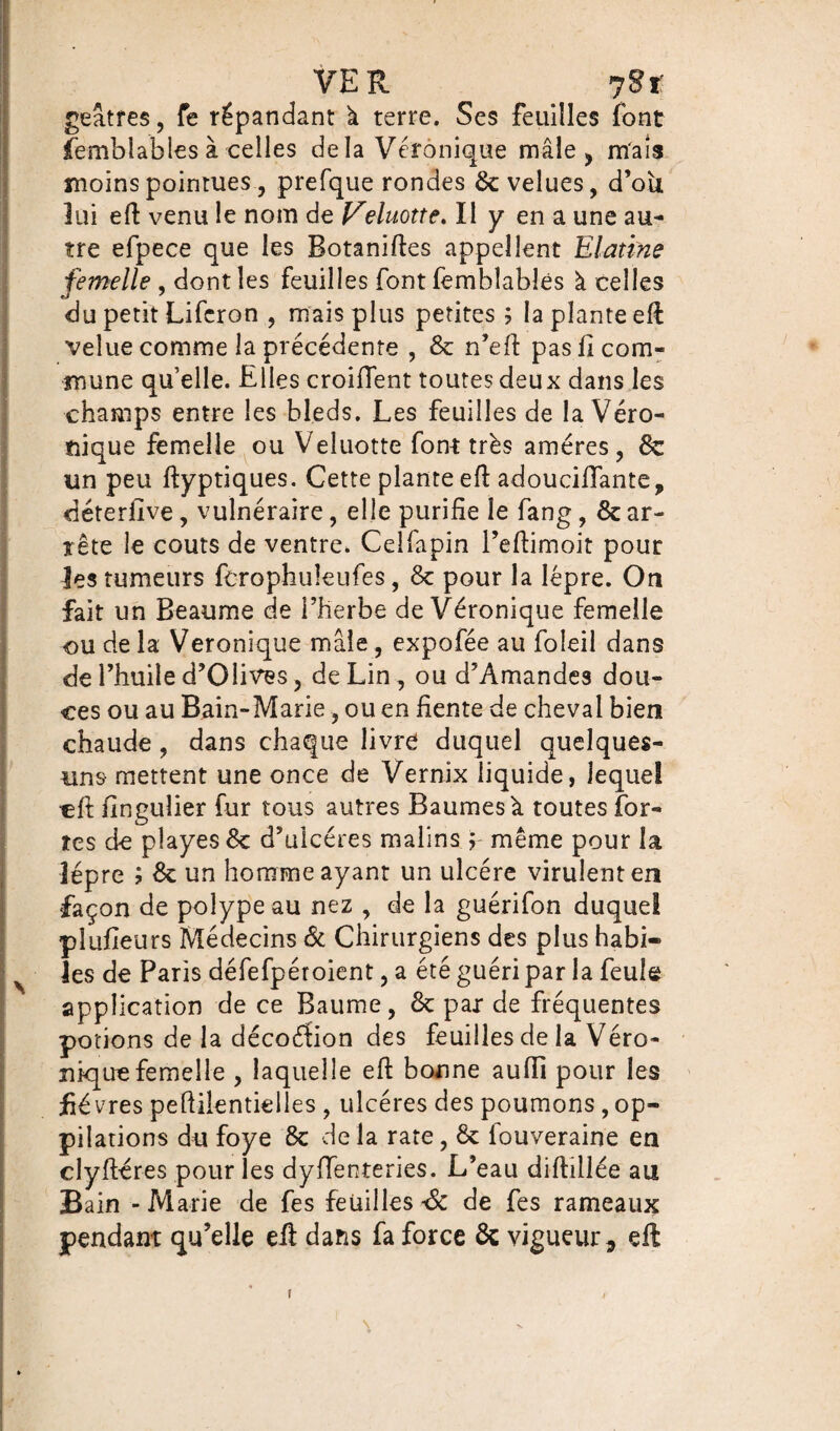 VER y St geâtres, fe répandant à terre. Ses feuilles font femblables à celles delà Véronique mâle, mais moins pointues, prefque rondes & velues, d’oii lui eft venu le nom de Veluotte. Il y en a une au¬ tre efpece que les Botaniftes appellent Elatine femelle , dont les feuilles font femblabîés à celles du petit Lifcron , mais plus petites ; la plante eft velue comme la précédente , 6c n’eft pas û com¬ mune qu’elle. Elles croiffent toutes deux dans les champs entre les bleds. Les feuilles de la Véro¬ nique femelle ou Veluotte font très amères, 6c un peu ftyptiques. Cette plante eft adoucilfante, déterfive, vulnéraire, elle purifie le fang, 6c ar¬ rête le coûts de ventre. Celfapin l’eftimoit pour les tumeurs fcrophuîeufes, 6c pour la lèpre. On fait un Beaume de l’herbe de Véronique femelle ou de la Véronique mâle, expofée au foleil dans de l’huile d’Oiives, de Lin, ou d’Amandes dou¬ ces ou au Bain-Marie, ou en fiente de cheval bien chaude , dans chaque livret duquel quelques- uns- mettent une once de Vernix liquide, leque! cft fingulier fur tous autres Baumes à toutes for¬ tes de playes 6c d’ulcères malins ; même pour la îépre ; 6c un homme ayant un ulcère virulent en façon de polype au nez , de la guérifon duquel plufieurs Médecins 6c Chirurgiens des plus habi« les de Paris défefpéroient, a été guéri par la feule application de ce Baume, 6c par de fréquentes potions de la décoéfion des feuilles de la Véro¬ nique femelle , laquelle eft bonne aufli pour les fièvres peftilentielles , ulcères des poumons, op- pilations du foye 6c de la rate, 6c louveraine en clyftéres pour les dyffenteries. L’eau diftillée au Bain - Marie de fes feuilles & de fes rameaux pendant qu’elle eft dans fa force 6c vigueur * eft \ v