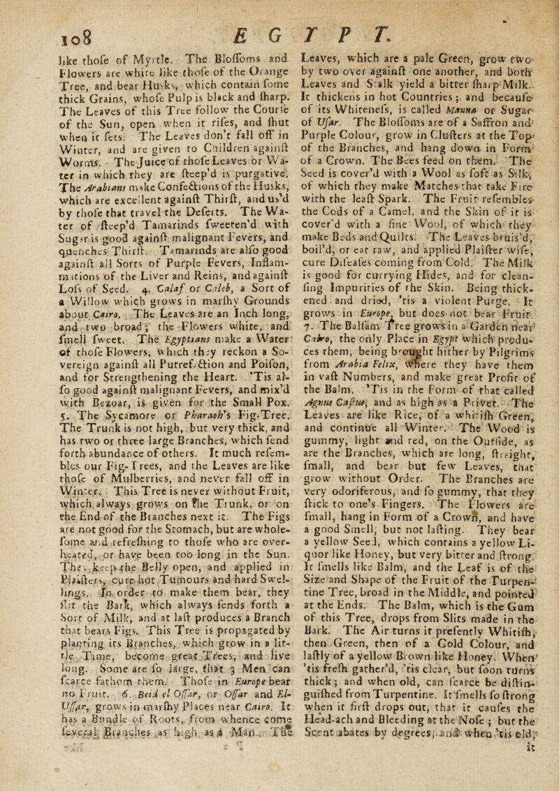 io8 EG 3jke thofe of Myrtle. The Bioffoms and Flowers are white like thofe of the Orange Tree, and bear Husks, which contain fome thick Grains, whofe Pulp is black and lharp. The Leaves of this Tree follow the Courie of the Sun, open when it riles, and (hut when it fees. The Leaves don’t fall off in Winter, and are given to Children againft Worms. The Juice of thofe Leaves or Wa¬ ter in which they are fteep’d is purgative. The Arabians make Confc&ions of the Husks, which are excellent againft Thirft, and us’d by thole that travel the Deferts. The Wa¬ ter pf fteep’d Tamarinds fweeten’d with Sugar is good againft malignant Fevers, and quenches Thirft. Tamarinds are alfo good againft all Sorts of Purple Fevers, Inflam¬ mations of the Liver and Reins, and againft Lofs of Seed. 4. Calaf or Caleb, a Sort of a Willow which grows in marlhy Grounds about Cairo. The Leaves are an Inch long, and two broad; the Flowers white, and fin ell fweet. The Egyptians make a Water of thofe Flowers, w hich they reckon a So¬ vereign againft all Putref ftion and Poifon, and for Strengthening the Heart. ’Tis al¬ fo good againft malignant Fevers, and mix’d with Bezoar, is given for the Small Pox. 5. The Sycamore or Pharaoh's Fig-Tree. The Trunk is not high, but very thick, and has two or three large Branches, which fend forth abundance of others. It much refem- bles our Fig- Frees, and the Leaves are like thofe of Mulberries, and never fall off in Wj nter. This Tree is never without Fruit, which always grows on fhe Trunk, or on the End of the Branches next it. The Figs are not good for the Stomach, but are whole- fome and refrefhing to thofe who are over¬ heated, or have been too long in the Sun. They keep, the Belly open, and applied in Plftftcr.s, cure hot Tumours and hard Swel¬ lings. In order to make them bear, they ft;t the Bark, which always fends forth a .Sort of Milk, and at laft produces a Branch that bears Figs. This Tree is propagated by planting its Branches, which grow in a lit¬ tle Time, become great Trees, and live long. Some are fo large, that 3 Men can fcarce fathom them. Thofe in Europe bear no Fruit. 6. Beid el OJJ'ar, or O(Jar and El- Ujfar, grows in marlhy Places near Cairo. It has a Bundle of Roots, from whence come fc.ver.al. Branches ..as high as ,a Man., The r p t. Leaves, which are a pale Green, grow two by two over againft one another, and both Leaves and Stalk yield a bitter fiiarp Milk. Ic thickens in hot Countries; and beGaufo of its Whitenefs, is called Manna or Sugar of Ufar. The Bioffoms are of 2 Saffron and' Purple Colour, grow in Clufters at the Top- of the Branches, and hang down in Form of a Crown. The Bees feed on them. The Seed is cover’d with a Wool as fofc as Silky of which they make Matches that take Fire- with the leaft Spark. The Fruit-refembles- the Cods of a Camel, and the Skin of it is cover’d with a fine Wool, of which they make Beds and Quilts. The Leaves bruis’d, boil’d, or eat raw, and applied Plaifter wife, cure Difeafes coming from Cold. The Milk is good for currying Hides, and for clean- ling Impuritiesof the Skin. Being thick¬ ened and drie>d, ’ris- a violent Purge. It grows in Europe but does-not brae Fruit, 7. The Balfam Tree grows in a Garden near C^tbro, the only Place in Egypt which produ¬ ces them, being brought hither by Pilgrims from Arabia Felix, \Vhere they have them in vaft Numbers, and make great Profit of the Balm. ’Tis in the Form of that called Agnus Caput, and as high as a Privet. The Leaves are like Rice, of a whirifti Green, and continue all Winter. The Wood is gummy, light and red, on the Outlide, as are the Branches, which are long, ftraight, Email, and bear but few Leaves, chat grow without Order. The Branches are very odoriferous, and fo gummy, that they ftick to one’s Fingers. The Flowers are fmall, hang in Form of a Crown, and have a good Smell, but not lading. They bear a yellow Seed, which contains a yellow Li¬ quor like Honey, but very bitter and ftrong, Ic fmells like Balm, and the Leaf is of the Size and Shape of the Fruit of the Turpen¬ tine Tree, broad in the Middle, and pointed at the Ends. The Balm, which is the Gum of this Tree, drops from Slits made in the Bark. The Air turns it prefently Whitifh, then Green, then of a Gold Colour, and laftly of a yellow^ Brown like Honey. When ’tis frefh gather’d, ’tis clear, but foon turns thick; and when old, can fcarce be diftin- guilhed from Turpentine. It fmells fo ftrong when it firft drops out, that it caufes the Head-ach and Bleeding at the Nofe ; but the Scent abates by degrees, and when ’tis old. ic
