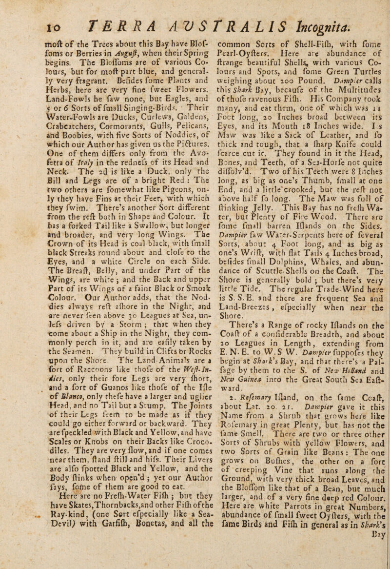 moil of the Trees about this Bay have Blof- foms or Berries in duguft, when their Spring begins. The Bloffoms are of various Co¬ lours, but for moft part blue, and general¬ ly very fragrant. Bcfides fome Plants and Herbs, here are very fine fvveet Flowers. Land-Fowls he faw none, but Eagles, and 5 or 6 Sorts of final! Singing-Birds. Their Water»Fowls are Ducks, Curlews, Galdens, Crabcatchers, Cormorants, Gulls, Pelicans, and Boobies, with five Sorts of Noddies, of which our Author has given us the Pictures. One of them differs only from the Avo- fetta of Italy in the rednefs of its Head and Neck. The 2d is like a Duck, only the Bill and Legs are of a bright Red : The two others are fomewhat like Pigeons, on¬ ly they have Fins at their Feer> with which they fvvim. There’s another Sort different from the reft both in Shape and Colour. It has a forked Tail like a Swallow, but longer and broader, and very long Wings. The Crown of its Head is coal black, with final! black Streaks round about and clofe to the Eyes, and a white Circle on each Side. The Breaft, Belly, and under Part of the Wings, are white ; and the Back and upper Part of its Wings of a faint Black or Smoak Colour. Our Author adds, that the Nod- dies always reft afhore in the Night, and are never fcen above 30 Leagues at Sea, uri¬ le ft driven by a Storm ; that when they come about a Ship in the Night, they com¬ monly perch in it, and are eafily taken by the Seamen. They build in Clifts br Rocks upon the Shore. The Land-Animals are a fort of Raccoons like thofe of the Weft-In¬ dies, only their fore Legs are very fhort, and a fort of Guanos like thofe of the Ifie of Blanco, only thefehave a larger and uglier Head, and no Tail but a Stump. The Joints of their Legs feerft to be made as if they could go either forward or backward. They arefpeckled with Black and Yellow, and have Scales or Knobs on their Backs like Croco¬ diles. They are very flow, and if one comes near them, ftand flill and hifs. Their Livers are alfo fpotted Black and Yellow, and the Body ftinks when open’d ; yet our Author fays, feme of them are good to eat. Here are no Frefh-Water Fifb ; but they have Skates,Thornbacks,and other Fifhofthe Ray-kind, (one Sort especially like a Sea- Devity with Garfifti, Bonetas, and all the common Sorts of Shell-Fifh, with feme Pearl-Oyfters. Here are abundance of ftrange beautiful Shells, with various Co¬ lours and Spots, and fome Green Turtles weighing about 200 Pound. Dampitr calls this Shark Bay, becaufe of the Multitudes of thofe ravenous Fifti. His Company took many, and eat them, one of which was 11 Foot long, 20 Inches broad between its Eyes, and its Mouth 18 Inches wide. I s Maw was like a Sack of Leather, and fo thick and tough, that a fharp Knife could fcarce cur it. They found in it the Head, Bones, and Teeth, of a Sea-Horfe not quite diffolv’d. Two of his Teeth were 8 Inches long, as big as one’s Thumb, Imall at one End, and a little“crooked, but the reft not above half fo long. The Maw was full of (linking Jelly. This Bay has no frefli Wa¬ ter, but Plenty of Fire Wood. There are fome finall barren Iftands on the Sides. Dawpier faw Warer-Serpents here of feveral Sorts, about 4 Foot long, and as big as one’s Wrift, with flat Tails 4 Inches broad, befides fmall Dolphins, Whales, and abun¬ dance of Scuttle Shells on the Coaft. The Shore is generally bold ; but there’s very little Tide. The regular Trade-Wind here is S. S. E. and there are frequent Sea and Land-Breezes, efpecially when near the Shore. There’s a Range of rocky Iflands on the Coaft of a confiderable Breadth, and about 20 Leagues in Length, extending from E. N. E. to W.S W. Dawpier fuppofes they begin at Shark's Bay, and that there’s a Pal- fage by them to the S. of New HoSand and New Guinea into the Great South Sea Eaft- ward. 2. Rofemary Iftand, on the fame Coaft, about Lat. 20 21. Dawpier gave it this Name from a Shrub that grows here like Rofemary in great Plenty, but has not the fame Smell. There are two or three other Sorts of Shrubs with yellow Flowers, and two Sorts of Grain like Beans : The one grows on Bullies, the other on a fort of creeping Vine that runs along the Ground, with very thick broad Leaves, and the Bloffom like that of a Bean, but much larger, and of a very fine deep red Colour. Here are white Parrots in great Numbers, abundance of fmall fweet Oyfters, with the fame Birds and Fifh in general as in Shark's Bay