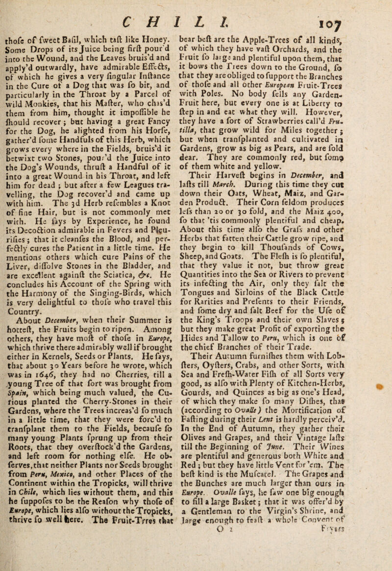V thofe of fweet Bafil, which taft like Honey. Some Drops of its Juice being firtt pour’d into the Wound, and the Leaves bruis'd and appiy’d outwardly, have admirable Effc&s, of which he gives a very lingular Inftance in the Cure of a Dog that was fo bic, and particularly in the Throat by a Parcel of wild Monkies, that his Matter, who chas’d them from him, thought it impofiible he fhould recover ; but having a great Fancy for the Dog, he alighted from his Horfe, gather’d fonie Handfuls of this Herb, which grows every where in the Fields, bruis’d it betwixt two Stones, pour’d the Juice into the Dog’s Wounds, thruft a Handful of it into a great Wound in his Throat, and left him for dead ; but after a few' Leagues tra¬ velling, the Dog recover’d and came up with him. The 3d Herb refembles a Knot of fine Hair, but is not commonly met with. He fays by Experience, he found its Deco&ion admirable in Fevers and P]fu- rifies; that it cleanfes the Blood, and per¬ fectly cures the Patient in a little time. He mentions others which cure Pains of the Liver, dittolve Stones in the Bladder, and are excellent againft the Sciatica, &c. He concludes his Account of the Spring with the Harmony of the Singing-Birds, which is very delightful to thofe who travel this Country. About December, when their Summer is hotteft, the Fruits begin to ripen. Among others, they have moft of thofe in Europe, which thrive there admirably well if brought either in Kernels, Seeds or Plants. He fays, that about 30 Years before he wrote, which was in 1646, they had no Cherries, till a ,yourig Tree of that fort was brought from Spain, which being much valued, the Cu¬ rious planted the Cherry-Stones in their Gardens, where the Trees increas’d fo much in a little time, that they were forc’d to tranfplant them to the Fields, becaufe fo many young Plants fprung up from their Roots, that they overftock’d the Gardens, and left room for nothing dfe. He ob* (erves,that neither Plants nor Seeds brought from Peru, Mexico, and other Places of the Continent within the Tropicks, will thrive in Chile, which lies without them, and this he fuppofes to be the Reafon why thofe of Europe, which lies alfo without the Tropicks, thrive fo well tiere. The Frult-Trres that bear bdtt are the Apple-Trees of all kinds, of which they have vaft Orchards, and the Fruit fo large and plentiful upon them, that it bows the Trees down to the Ground, To that they are obliged tofupport the Branches of thofe and all other European Fruit-Trees with Poles. No body fells any Garden- Fruit here, but every one is at Liberty to ftep in and eat what they will. However, they have a fort of Strawberries call’d Fru. tilla, that grow wild for Miles together ; but when tranfplanted and cultivated in Gardens, grow as big as Pears, and are fold dear. They are commonly red, but fom^ of them white and yellow. Their Harveft begins in December, and lafts till March. During this time they cut down their Oats, Wheat, Maiz, and Gar¬ den Produft. Their Corn feldom produces lefs than 20 or 30 fold, and the Maiz 400, fo that ’tis commonly plentiful and cheap. About this time alfo the Grafs and other Herbs that fatten their Cattle grow ripe, and they begin to kill Thoufands of Cows, Sheep, and Goats. The Flefh is fo plentiful, that they value it not, but throw greac Quantities into the Sea or Rivers to prevent its infecting the Air, only they fait the Tongues and Sirloins of the Black Cattle for Rarities and Prefents to their Friends, and fome dry and fait Beef for the Ufe of the King’s Troops and their own Slaves 5 but they make great Profit of exporting the Hides and Tallow to Peru, which is one of the chief Branches of their Trade. Their Autumn furnilhes them with Lob- tters, Oyfters, Crabs, and other Sorts, with Sea and Frett-Water Fifli of all Sorts very good, as alfo with Plenty of Kitchen-Herbs, Gourds, and Quinces as big as one’s Head, of which they make fo many Ditties, thae (according to Ovaile) the Mortification of Fatting during their Lent is hardly perceiv’d. In the End of Autumn, they gather their Olives and Grapes, and their Vintage latts till the Beginning of June. Their Wines are plentiful and generous both White and Red ; but they have little Vent for ’em, The? beft kind is the Mufcatel. The Grapes and the Bunches are much larger than ours in Europe. Ovalle fays? he favv one big enough, to fill a large Basket; that it was offer’d by a Gentleman to the Virgin’s Shrine, and large enough to fsatt a whole Convent of O z Fry*fy