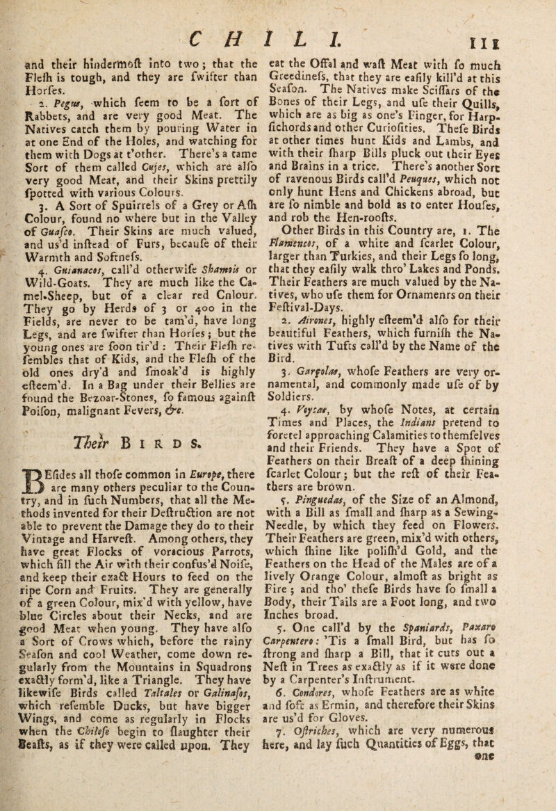 and their hindermoft into two; that the Flefli is tough, and they are fwifter than Horfes. 2. Pegns, which feem to be a fort of Rabbets, and are very good Meat. The Natives catch them by pouring Water in at one End of the Holes, and watching for them with Dogs at t’other. There’s a tame Sort of them called Cujes, which are alfo very good Meat, and their Skins prettily fpotted with various Colours. 3. A Sort of Spulrrels of a Grey or Afli Colour, found no where but in the Valley of Guafco. Their Skins are much valued, and us’d inftead of Furs, becaufe of their Warmth and Sofrnefs. 4. Gtuanacos, call’d otherwife Sh/mois or Wild-Goats. They are much like the Ca» mebSheep, but of a clear red Colour. They go by Herds of 3 or 400 in the Fields, are never to be tam’d, have long Legs, and are fwifter than Horfes; but the young ones are foon tir’d : Their Flefh re« fembles that of Kids, and the Flefli of the old ones dry’d and fmoak’d is highly efteem’d. In a Bag under their Bellies are found the Bezoar-Stones, fo famous againft Poifon, malignant Fevers, &c. Their Birds* BElides all thofe common in Europe, there are many others peculiar to the Coun¬ try, and in fuch Numbers, that all the Me¬ thods invented for their Deftru&ion are not able to prevent the Damage they do to their Vintage and Harveft. Among others, they have great Flocks of voracious Parrots, which fill the Air with their confus’d Noife, and keep their exaft Hours to feed on the ripe Corn amf Fruits. They are generally of a green Colour, mix’d with yellow, have blue Circles about their Necks, and are good Meat when young. They have alfo a Sort of Crows which, before the rainy Seafon and cool Weather, come down re¬ gularly from the Mountains in Squadrons exa&ly form’d, like a Triangle. They have likewife Birds called Taltales or Galinafos, which referable Ducks, but have bigger Wings, and come as regularly in Flocks when the Cbilefe begin to {laughter their leafts, as if they were called upon. They eat the Offal and waft Meat with fo much Greedinefs, that they are eafily kill’d at this Seafon. The Natives make Sciflars of the Bones of their Legs, and ufe their Quills, which are as big as one’s Finger, for Harp- fichords and other Curiofities. Thefe Birds at other times hunt Kids and Lambs, and with their fharp Bills pluck out their Eyes and Brains in a trice. There’s another Sore of ravenous Birds call’d Peuques, which not only hunt Hens and Chickens abroad, buc are fo nimble and bold as to enter Houfes, and rob the Hen-roofts. Other Birds in this Country are, 1. The Flamencos, of a white and fcarlet Colour, larger than Turkies, and their Legs fo long, that they eafily walk thro’ Lakes and Ponds. Their Feathers are much valued by the Na¬ tives, who ufe them for Ornamenrs on their Feftival-Days. 2. Airones, highly efteem’d alfo for their beautiful Feathers, which furnifh the Na« fives with Tufts call’d by the Name of the Bird. 3. Garpolas, whofe Feathers are very or¬ namental, and commonly mads ufe of by Soldiers. 4. Vcysas, by whofe Notes, at certain Times and Places, the Indians pretend to foretel approaching Calamities tothemfelves and their Friends. They have a Spot of Feathers on their Breaft of a deep fliining fcarlet Colour; but the reft of their Fea¬ thers are brown. ?. Pinguedas, of the Size of an Almond, with a Bill as fmall and {harp as a Sewing- Needle, by which they feed on Flowers, Their Feathers are green, mix’d with others, which ihine like polifli’d Gold, and the Feathers on the Head of the Males are of a lively Orange Colour, almoft as bright as Fire ; and tho’ thefe Birds have fo fmall a Body, their Tails are a Foot long, and two Inches broad. 5. One call’d by the Spaniards, Paxan Carpentero: ’Tis a fmall Bird, but has fo ftrong and {harp a Bill, that it cuts out a \ Neft in Trees as exa£Uy as if it were done by a Carpenter’s Inftrument. 6. Condores, whofe Feathers are as white and foft asErmin, and therefore their Skins are us’d for Gloves. 7. Ojlriches, which are very numerous here, and lay fuch Quantities of Eggs, that