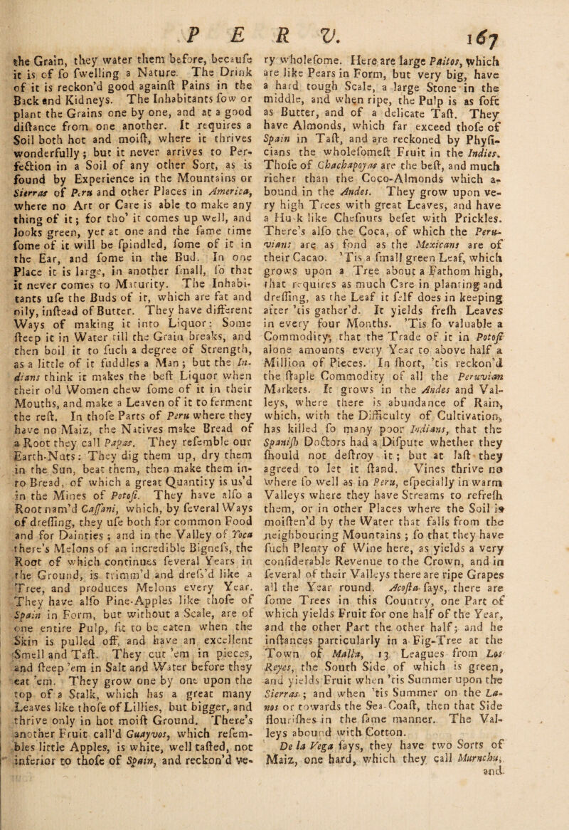 the Grain, they water them before, becaufe it is of fo (welling a Nature. The Drink of it is reckon’d good againft Pains in the Back and Kidneys. The Inhabitants fow or plant the Grains one by one, and at a good diftance from one another. It requires a Soil both hot and moift, where it thrives wonderfully; but it never arrives to Per¬ fection in a Soil of any other Sort, as is found by Experience in the Mountains or Sierras of Pern and other Places in America, where no Art or Care is able to make any thing of it; for tho’ it comes up well, and looks green, yet at one and the fame time fome of it will be fpindled, fome of it in the Ear, and fome in the Bud. In one Place it is large, in another lmal), Io that it never comes to Maturity. The Inhabi¬ tants ufe the Buds of it, which are fat and oily, inftead of Butter. They have different Ways of making it into Liquor: Some deep it in Water till the Grain breaks, and then boil it to fuch a degree of Strength, as a little of it fuddles a Man ; but the /«- dians think it makes the beft Liquor when their old Women chew fome of it in their Mouths, and make a Leaven of it to ferment the red. In thofe Parts of Peru where they have no Maiz. the Natives make Bread of a. Root they call Papas. They refemble our Earth-Nuts: They dig them up, dry them in the Sun, beat them, then make them in¬ to Bread, of which a great Quantity is us’d in the Mines of Potoji. They have alio a Root nam’d Cajfani, which, by feveral Ways ©f drefling, they ufe both for common Food and for Dainties ; and in the Valley of Toe a there’s Melons of an incredible Bignefs, the Root of which continues feveral Years in the Ground, is trimm’d and drefs’d like a Tree, and produces Melons every Year. They have alfo Pine-Apples like- thofe of Spain in Form, but without a Scale, are of one entire Pulp, fit to be eaten when the Skin is pulled off, and have an excellent Smell and Tad. They cut ’em in pieces, and deep ’em in Salt and Water before they eat ’em. They grow one by one upon the top of a Stalk, which has a great many Leaves like thofe of Lillies, but bigger, and thrive only in hot moid Ground. There’s another Fruit call’d Guayvos, which refem- bles little Apples, is white, well tafted, not inferior to thofe of Spain, and reckon’d ve- ry wholefome. Here are large Paitos, which are like Pears in Form, but very big, have a hard tough Scale, a large Stone in the middle, and when ripe, the Pulp is as fofc as Butter, and of a delicate Tad. They have Almonds, which far exceed thofe of Spain in Tad, and are reckoned by Phyft- cians the wholefomed Fruit in the Indies. Thofe of Chachapoyas are the beft, and much richer than the Coco-Almonds which a- bound in the Andes. They grow upon ve¬ ry high Trees with great Leaves, and have a Hu k like Chefnuts befet with Prickles. There’s alfo the Coca, of which the Peru¬ vians arq as fond as the Mexicans are of their Cacao. ’Tis a final! green Leaf, which grows upon a Tree about a Fathom high, that requires as much Care in planting and dreffing, as the Leaf it felf does in keeping alter ’tis gather’d. It yields frefh Leaves in every four Months. ’Tis fo valuable a Commodity* that the Trade of it in Potoji alone amounts every Year to above half a Million of Pieces. In ftiort, ’cis reckon’d the ftaple Commodity of all the Peruvian Markets. It grows in the Andes and Val¬ leys, where there is abundance of Rain, which, with the Difficulty of Cultivation-, has killed fo many poor Indians, that the Spanijh Doftors had a Difpute whether they fhould not deftroy it; but at laft they agreed to let it ftamd. Vines thrive no Where fo well as in Peru, efpecially in warm Valleys where they have Streams to refrefh them, or in other Places where the Soil is moiften’d by the Water that falls from the neighbouring Mountains ; fo that they have fuch Plenty of Wine here, as yields a very condderable Revenue to the Crown, and in feveral of their Valleys there are ripe Grapes all the Year round. Acojla* fays, there are fome Trees in this Country, one Part of which yields Fruit for one half of the Year, and the other Part the other half; and he inftances particularly in a Fig-Tree at the Town of Malla, 13 Leagues from Los Reyes, the South Side of which is green, and yields Fruit when ’cis Summer upon the Sierrasand when ’tis Summer on the La- nos or towards the Sea-Coaft, then that Side flourifhes in the fame manner. The Val¬ leys abound with Cotton. De la Vega fays, they have two Sorts of Maiz, one hard, which they call Murnchu, and