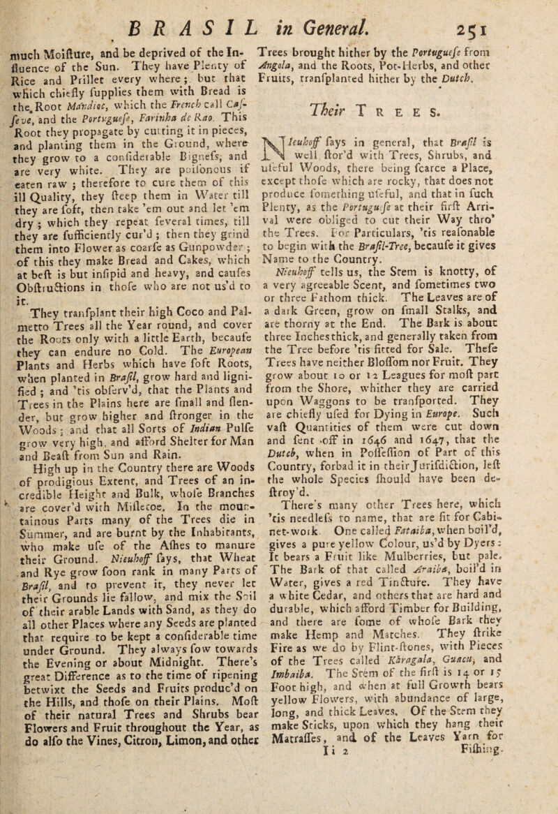 ft much Moiflute, and be deprived of the In¬ fluence of the Sun. They have Plenty of Rice and Prillec every where; but that which chiefly fupplies them with Bread is the. Root MarJioc, which the French call Caj- feve, and the Portv.guefe, Farinha de Rao. This Root they propagate by cutting it in pieces, and planting them in the Ground, where* they grow to a confiderable Bignefs, and are very white. They are poiibnous if eaten raw ; therefore to cure them of this ill Quality, they fleep them in Water till they are fofr, then take ’em out and let ’em dry ; which they repeat feverai times, till they are fufficiently cur’d ; then they grind them into Flower as coarfe as Gunpowder; of this they make Bread and Cakes, which at beft is but infipid and heavy, and caufes ObftruSions in thofe who are not us’d to it. They tranfplant their high Coco and Pal¬ metto Trees all the Year round, and cover the Roots only with a little Earth, becaufe they can endure no Cold. The European Plants and Herbs which have foft Roots, when planted in Brajtl, grow hard and ligni- fied ; and ’tis obferv’d, that the Plants and Trees in the Plains here are fmall and [len¬ der, but grow higher and ftronger in the Woods : and that all Sorts of Indian Pulfe grow very high, and afford Shelter for Man and Beafl: from Sun and Rain. High up in the Country there are Woods of prodigious Extent, and Trees of an in¬ credible Height and Bulk, whole Branches are cover’d with Miflecoe. In the moun¬ tainous Parts many of the Trees die in Summer, and are burnt by the Inhabitants, who make ufe of the Allies to manure their Ground. Nieuhof fays, that Wheat and Rye grow foon rank in many Parts of Brafil, and to prevent it, they never let their Grounds lie fallow, and mix the Soil of their arable Lands with Sand, as they do all other Places where any Seeds are planted that require to be kept a confiderable time under Ground. They always fow towards the Evening or about Midnight. There’s great Difference as to the time of ripening betwixt the Seeds and Fruits produc’d on the Hills, and thofe on their Plains. Mofl: of their natural Trees and Shrubs bear Flowers and Fruit throughout the Year, as do alfo the Vines, Citron, Limon, and other Trees brought hither by the Portuguefs from Angola, and the Roots, Pot-Herbs, and other Fruits, tranfplanted hither by the Dutch. Their Trees. \ j huh off fays in general, that BraJU is well flor’d with Trees, Shrubs, and ufeful Woods, there being fcarce a Place, except thofe which are rocky, that does not produce fomerhing ufeful, and that in fuch. Plenty, as the Portugu.fe at their firfl: Arri¬ val were obliged to cut their Way thro* the Trees. For Particulars, ’tis reafonable to begin with the BraJU-Tree, becaufe it gives Name to the Country. Nieuhojf tells us, the Stem is knotty, of a very agreeable Scent, and fometimes two or three Fathom thick. The Leaves are of a dark Green, grow on fmall Stalks, and are thorny at the End. The Bark is about three Inchesthick, and generally taken from the Tree before ’tis fitted for Sale. Thefe Trees have neither Bloflom nor Fruit. They grow about 10 or 12 Leagues for mofl: pare from the Shore, whither they are carried upon Waggons to be tranfported. They are chiefly ufed for Dying in Europe. Such vaft Quantities of them were cut down and fent >off in 1646 and 1647, that the Dutch, when in Pofleflion of Part of this Country, forbad it in their JurifdifHon, Jefi: the whole Species fiaould have been de» ftroy’d. There’s many other Trees here, which ’tis needlefs to name, that are fit for Cabf* net* work. One called Fataihat when boil’d, gives a pure yellow Colour, us’d by Dyers 2 Ic bears a Fruit like Mulberries, but pale. The Bark of that called draiba, boifd in Water, gives a red Tinfbure. They have a white Cedar, and others that are hard and durable, which afford Timber for Building, and there are feme of whole Bark they make Hemp and Matches. They ftrike Fire as we do by Flint-ftones, with Pieces of the Trees called Khragala? Gutrcu, and Imbaiha. The Stem of the firfi is 14 or K Foot high, and d’hen at full Growth bears yellow Flowers, with abundance of large, long, and thick Leaves. Of the Stem they make Sticks, upon which they hang their Matrafles, and of the Leaves Yarn for I i 2 Fifhing*