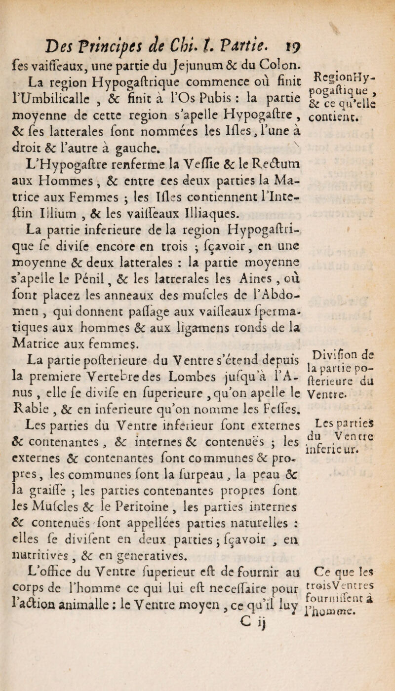 fes vaifTcaux, une partie du Jéjunum Ôc du Colon. La région Hypogaftrique commence où finit rUmbilicallc , & finit à TOs Pubis : la partie moyenne de cette région s'apclle Hypogaftre, ôc fes latterales font nommées les Ifles^Tune à droit &c l’autre à gauche, L’Hypogaftre renferme la Veiïic ôc le Reéfum aux Hommes, ôc entre ces deux parties la Ma¬ trice aux Femmes j les Ifles contiennent Tlnte- ftin I ilium , ôc les vailFeaux Illiaques. La partie inferieure de la région Hypogaftri¬ que fe divife encore en trois ; fçavoir, en une moyenne ôc deux latterales : la partie moyenne s’apclle le Pénil, ôc les latrcralcs les Aines , ou font placez les anneaux des mufcles de l’Abdo¬ men J qui donnent paftage aux vaifteaux fperma- tiques aux hommes ôc aux ligamens ronds de la Matrice aux femmes. La partiepofterieure du Ventre s’étend depuis la première Yertebredes Lombes jufqua l’A¬ nus , elle fe divife en fupcrieurc , qu’on apclie le Rable , ôc en inferieure qu’on nomme les Fclïes. Les parties du Ventre inferieur font externes ôc contenantes, ôc internes ôc contenues ; les externes ôc contenantes font communes & pro¬ pres, les communes font la furpeau ^ la peau ôc la grailFc j les parties contenantes propres font les Mufcles ôc le Péritoine , les parties internes ôc contenues'font appcllées parties naturelles : elles fe divifent en deux parties ^ fçavoir , eu nutritives, Ôc en generatives. L’office du Ventre fuperieur eft de fournir au corps de l’homme ce qui lui eft neceffiaire pour l’aéfion animalie ; le Ventre moyen , ce qu’il luy C ij KegionHy- pogafiique , ôc ce qu*clle contient. Divifïon de la partie po- ftcneurc du Ventre. Les parties du Ventre inferie ur. Ce que les troisVentres fourniifenc à [%Qai(nc,
