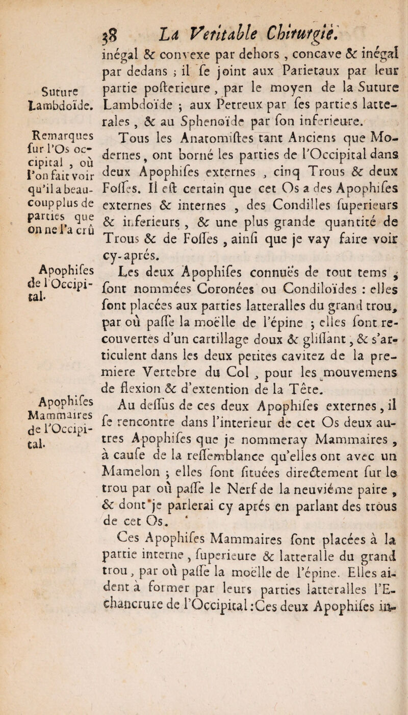 Suture Lambdoïde. Remarques fur rOs oc¬ cipital , où i’on fait voir qu’il a beau¬ coup plus de parties que on ne l’a crû Apophifes de 1 Oecipi- tàl Apophifes Mammaires de rOccipi- cab ^8 Ld Ventahle Chitufgtè'. inégal convexe par dehors , concave inégaî par dedans ; il Te joint aux ^Pariétaux par leur partie poftericure , par le moyen de la Suture Lambdoïde ; aux Petreux par Tes parties latte- raies , & au Sphénoïde par Ton inferieure. Tous les Anatomiftes tant Anciens que Mo¬ dernes , ont borné les parties de l’Occipital dans, deux Apophifes externes ^ cinq Trous & deux Folles. Il cft certain que cet Os a des Apophifes externes 6c internes , des Condilles fuperieurs & inferieurs , 6c une plus grande quantité de Trous 6c de Folles , ainli que je vay faire voir cy-après. Les deux Apophifes connues de tout tems ^ font nommées Coronées ou Condiloïdcs : elles font placées aux parties latteralles du grand trou, par où palTe la moelle de l’épine ; elles font re¬ couvertes d’un cartillage doux 6c glilîant, 6c s’ar¬ ticulent dans les deux petites cavitez de la pre¬ mière Vertebre du Col ^ pour les mouvemens de flexion 6c d’extention de la Tête. Au delFus de ces deux Apophifes externes, il fe rencontre dans l’interieur de cet Os deux au¬ tres Apophifes que je nommeray Mammaires , à caufe de la reflemblance qu’elles ont avec un Mamelon ; elles font fltuées dircdlement fur le trou par où pafle le Nerf de la neuvième paire , 6c donc’je parlerai cy après en parlant des trous de cet Os. Ces Apophifes Mammaires font placées à la partie interne , fupericurc 6c latteralle du grand trou, par où palïe la moelle de l’épine. Elles ai¬ dent à former par leurs parties latteralles l’E- cbancrure de FOçcipiul:Ces deux Apophifes iiv