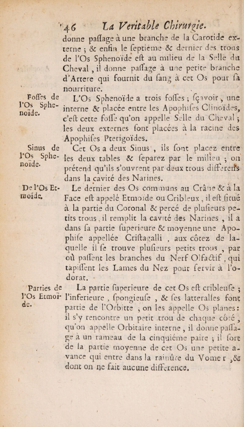 ■''45 ' ta Véritable Chirurgie. donne pa(ïage à une branche de la Carotide ex¬ terne j 6c enfin le reptiéme 6c dernier des trous de rOs Sphénoïde eft au milieu de la Selle du Cheval , il donne palTage à une petite branche d’Artere qui fournit du fang à cet Os pour fa nourriture. ^ FofiTes de L’Os Sphénoïde a trois folles ; fçavoir , une 1 Os Sphe- ^ placée entre les Apophifes Clinoïdes, c’eO; cette qu’on appelle Selle du Cheval ; les deux externes font placées à la racine des Apophifes Pterigoïdes. Sinus de Cet Os a deux Sinus , ils font placez entre LOs Sphe- [gg deux tables 6c feparez par le milieu ; on prétend qu’ils s’ouvrent par deux trous diiTereits dans la cavité des Narines. Le dernier des Os communs au Crâne & à la Face eft appelé Etmoide ou Cribleux , il eft,ficLié à la partie du Coronal 6c percé de plufieurs pe¬ tits trous,il remplit la cavité des Narines , il a dans fa partie fuperieure &: moyenne une Apo- phife appellée Criftagalli , aux cotez de la¬ quelle il fe trouve plufieurs petits trous , par où palfent les branches du Nerf Olfaélif, qui lapilFent les Lames du Nez pour iervir à i’o- dorat. • Parties de La partie fuperieure de cet Os eft cribleufe ; î’Os Etmoï- l’inferieure , fpongieufe , 6c Tes latteralles font partie de l’Orbitte , on les appelle Os planes: il s’y rencontre un petit .trou de chaque coré , qu’on appelle Orbitaire interne , il donne pafia- ge à un rameau de la cinquième paire -, il fiarc de la partie moyenne de cet Os une petite a- vance qui entre dans la rainûce du Vomer ^6c dont on ne fait aucune différence. noide. De POs Et- njoïde. oe. «