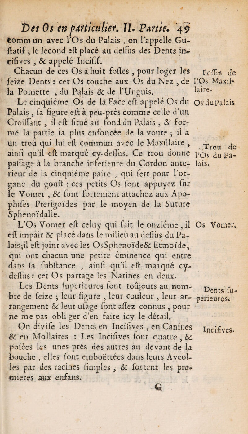 tomm un avec TOs du Palais , on l’appelle Gu- ftatif ; le fécond eft placé au delfus des Dents in^ cili ves , & appelé Incifif. Chacun de ces Os a huit folles , pour loger les feize Dents : cet Os touche aux Os du Nez , de la Pomettc , du Palais & de PUnguis. Le cinquième Os de la Face eft appelé Os du Palais , fa 6gure eft à peu-prés comme celle d’un CroilTant , il ell lieue au fond du Palais , Sf for¬ me la partie ia plus enfoncée de la voûte ; il a un trou qui lui eft commun avec le Maxillaire , ainfl qu’il eft marqué ey-delTus. Ce trou donne palTàge à U branche inferieure du Cordon ante¬ rieur de la cinquième paire , qui fert pour l’or¬ gane du gouft : ces petits Os font appuyez fur le Vomer , & font fortement attachez aux Apo- phifes Pcerigoïdes par le moyen de la Suture Sphénoïdal le. L’Os Vomer eft celuy qui fait le onzième,il rO: impair & placé dans le milieu au delfus du Pa¬ lais ;il cil joint avec les OsSphenoïde& Etmoïde, qui ont chacun une petite éminence qui entre dans fa fublliance , ainfî qu’il eft maaqué cy- delTus: cet Os partage les Narines en deux. Les Dents fuperieures font îoûjours au nom¬ bre de feize *, leur figure , leur couleur , leur ar¬ rangement & leur ufage font allez connus , pour ne me pas obliger d’en faire icy le détail. On divife les Dents en Incifives , en Canines êc en Mollaires ; Les Incilives font quatre , Ôc pofées les unes prés des autres au devant de la bouche ^ elles font emboéttées dans leurs Aveol- les par des racines fimples , 6c fortent les pre* mieres aux eufans. Q FclTes de l’Os Maxil¬ laire. Osrdüpalais Trou de l’Os au Pa¬ lais. Os Vomsr. Dents fu perieures» Incilives.