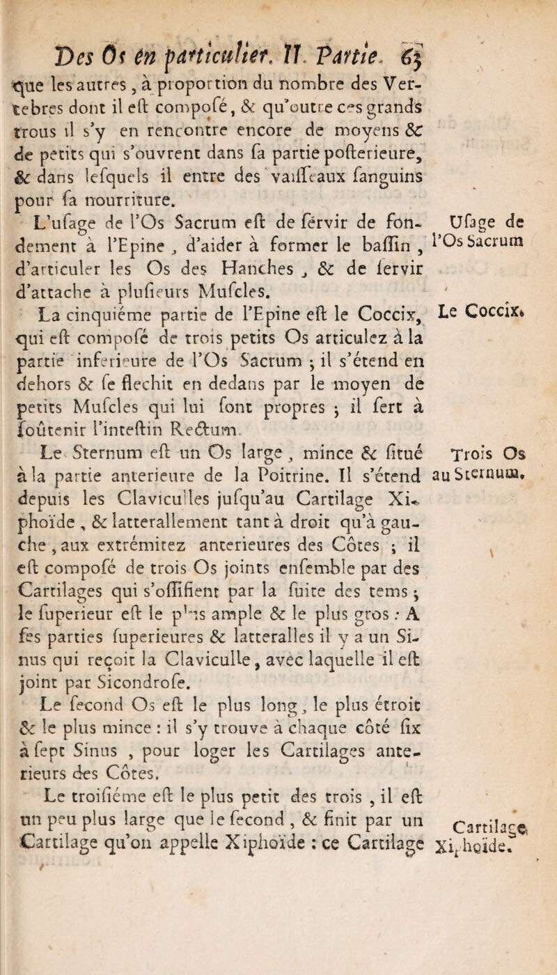 tjue les ancres , à proportion du nombre des Ver¬ tèbres dont il eft compofé, & qu’outre ces grands trous il s’y en rencontre encore de moyens ÔC de petits qui s’ouvrent dans fa partie pofterieure, dedans lefquels il entre des vailfeaux fanguins pour fa nourriture. L’ufage de l’Os Sacrum eft de férvir de fon¬ dement à l’Epine ^ d’aider à former le balîin , d’articuler les Os des Hanches ^ & de iervir d’attache à plufieurs Mufcles. La cinquième partie de l’Epine eft le Coceix, qui eft compofé de trois petits Os articulez à la partie inferieure de l’Os Sacrum • il s’étend en dehors Ôc fe fléchit en dedans par le moyen de petits Mufcles qui lui font propres j il fert à foûtenir l’inteftin Reétum, Le Sternum eft un Os large ^ mince êiC fîtué à la partie anterieure de la Poitrine. Il s’étend depuis les Clavicu'les jufqu’au Cartilage Xk phoïde , & latterallement tant à droit qu’à gau¬ che , aux extrémitez anterieures des Côtes ; il eft compofé de trois Os joints enfemble par des Cartilages qui s’offifient par la fuite des tems ^ le fuperieur eft le p'ns ample Sc le plus gros ; A fes parties fuperieures Sc lacterallcs il y a uti Si¬ nus qui reçoit la ClavicuUe, avec laquelle il eft joint par Sicondrofe. Le fécond Os eft le plus long^ le plus étroit Sc le plus mince : il s’y trouve à chaque côté ftx àfepe Sinus , pour loger les Cartilages ante¬ rieurs des Côtes. Le troifiéme eft le plus petit des trois , il eft un peu plus large que le fécond , Sc finit par un Cartilage qu’on appelle Xiplioïde ; ce Cartilage Ufage de l’Os Sacrum Le CoceiXi Trois Os au Sternum, \ Cartilage, Xvheïde.
