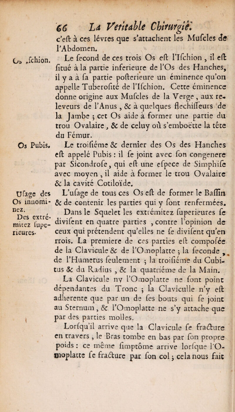Os Pubis, U rage 'des Os innomi- nez. Des extré» mitez iupe- rieures. é'g Ld VentdUe Chtturgièl c’efl: à ces lèvres que s’attachent les Mufcles Jâ TAbdomen. . Le fécond de ces trois Os efl: rifchion , il eft htué à la partie inferieure de l’Os des Hanches, il y a à fa partie pofterieure un éminence qu’on appelle Tuberofité de rifchion. Cette éminence donne origine aux Mufcles de la Verge , aux re^ leveurs de l’Anus, Sc à quelques flcchiiïeurs 'de la Jambe ; cet Os aide à former une partie du trou Ovalaire ^ Sc de celuy où s’emboécte la tête du Fémur. Le troifiéme Sc dernier des Os des Hanches eft appelé Pubis : il fe joint avec fon congénère par Sicondrofe, qui eft une cfpece de Simphife avec moyen , il aide à former le trou Ovalaire Sc la cavité Cotiloïdc. L’ufage de tous ces Os eft de former le Baflîn Sc de contenir les parties qui y font renfermées. Dans le Squelct les extrémitez fuperieures fe divifent en quatre parties , contre l’opinion de ceux qui prétendent qu’elles ne fe divifent qu’en rrois. La première de ces parties eft compofée de la Clavicule & de l’Omoplatte ; la leconde de l’Humerus feulement -, la troiftéme du Cubi¬ tus Sc du Radius , Sc la quatrième de la Main. La Clavicule ny l’Omoplatte ne font point dépendantes du Tronc 5 la Claviculle n’y eft adhérente que par un de fes boucs qui fe joint au Sternum , Sc l’Omoplatte ne s’y attache que par des parties molles. Lorfqu il arrive que la Clavicule fe fraèFure en travers, le Bras tombe en bas par fon propre poids : ce même ftmptôme arrive lorfque PO- moplatte fc fradure par fon col, cela nous fait