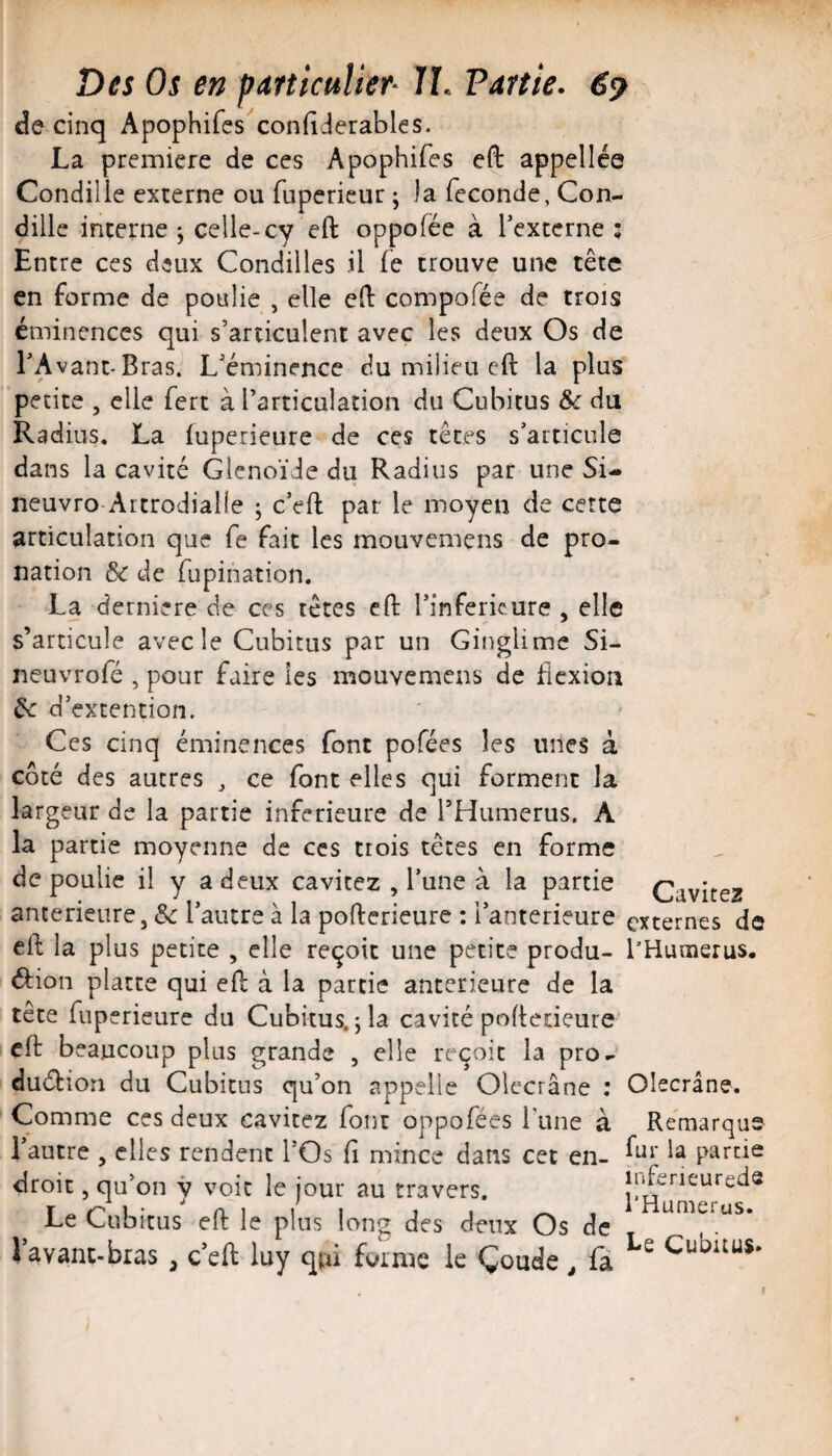 de cinq Apophifes confiierables. La première de ces Apophifes eft appellée Condille externe ou fuperieur ; la fécondé, Con- dille interne ^ celle-cy eft oppofée à fexterne s Entre ces deux Condilles il fe trouve une tête en forme de poulie , elle eH: compofée de trois éminences qui s’articulent avec les deux Os de l’Avant-Bras. L’éminence du milieu cil la plus petite , elle fert à l’articulation du Cubitus du Radius. La fuperieure de ces têtes s’articule dans la cavité Glenoïie du Radius par une Si- neuvro Attrodialle j c’eft par le moyeu de certe articulation que fe fait les mouvemens de pro- nation & de fupination. La dernière de ces têtes cft l’inferieure , elle s’articule avec le Cubitus par un Ginglime Si- neuvrofé , pour faire les mouvemens de fiexiou 6c d’extention. Ces cinq éminences font pofées les unes à côté des autres ^ ce font elles qui forment la largeur de la partie inferieure de l’Humerus. A la partie moyenne de ces trois têtes en forme de poulie il y a deux cavitez , l’une à la partie anterieure, &: l’autre à la pofterieure : l’anterieure ell: la plus petite , elle reçoit une petite produ- él:ion platte qui efl à la partie anterieure de la tête fuperieure du Cubitus, j la cavité poileoeure cft beaucoup plus grande , elle reçoit la pro^ dueftiori du Cubitus qu’on appelle Olccrâne : Comme ces deux cavitez font oppofées Tune à l’autre , elles rendent l’Os ft mince dans cet en¬ droit , qu’on ÿ voit le jour au travers. Le Cubitus eft le plus long des deux Os de l’avant-bras , c’eft luy qui forme le Çoude ^ fa Cavitez externes de l’Humerus, Olecrâne. Remarque fur la partie inferieureds l’Humerus. Le Cubitus.