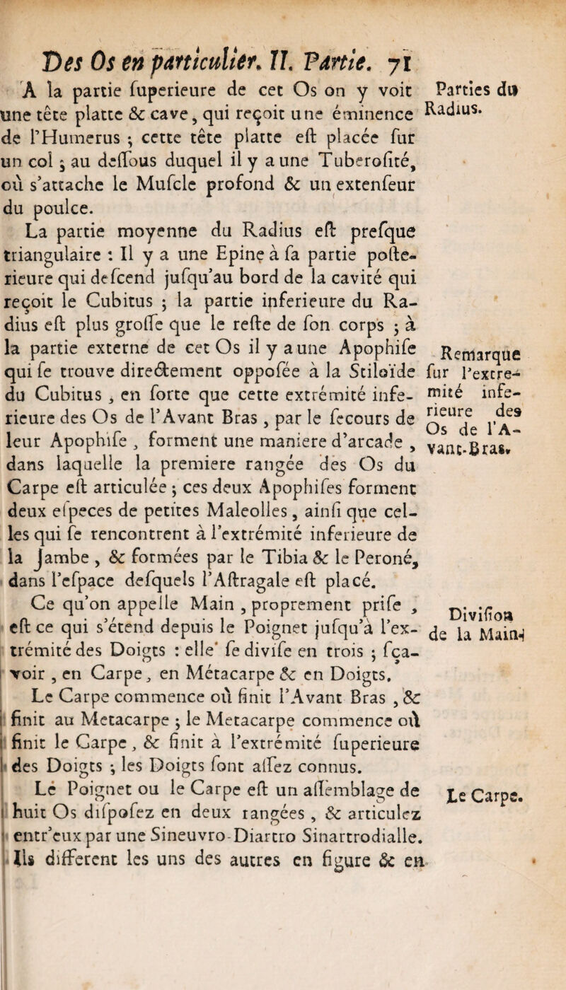 î)es Os en pamcuUer. II. Fdrüe. ji A la partie fuperieure de cet Os on y voit Parties du une tête plattc & cave, qui reçoit une éminence Radius, de l’Humerus ; cette tête plattc eft placée fur un col 9 au deffous duquel il y a une Tuberofîcé, où s’attache le Mufcle profond & un extenfeur du poulce. La partie moyenne du Radius efl: prefque triangulaire : Il y a une Epine à fa partie pofte- ricurc qui dcfcend jufqu’au bord de la cavité qui reçoit le Cubitus ; la partie inferieure du Ra¬ dius eft plus groftc que le refte de Ton corps 5 à la partie externe de cet Os il y aune Apophife Remarque qui fc trouve directement oppofée à la Stiloïde fur Pexcre- du Cubitus , en forte que cette extrémité infe- ^i^^ infe¬ rieure des Os de T Avant Bras, par le fecours de leur Apophife , forment une maniéré d’arcade , dans laquelle la première rangée dès Os du Carpe eft articulée ; ces deux Apophifes forment deux elpeces de petites Maleolles, ainli que cel¬ les qui fc rencontrent à IVxtrémité inferieure de la Jambe , & formées par le Tibia Sc le Péroné, ■ dans l’cfpace defquels f Aftragale eft placé. Ce qu’on appelle Main , proprement prife , eft ce qui s’étend depuis le Poignet jufqu’à l’ex- trémitédes Doigts : elle* fe divife en trois : fea- ^ / * * I voir , en Carpe ^ en Métacarpe & en Doigts. Le Carpe commence où finit l’Avant Bras , & j finit au Métacarpe ; le Métacarpe commence où j finit le Carpe, & finit à l’extrémité fuperieure l'des Doigts -, les Doigts font affez connus. ; Le Poignet ou le Carpe eft un aftemblage de l'huii Os difpofez en deux rangées , & articulez I entr’euxpar une Sineuvro-Diarcro Sinartrodialle. lélU different les uns des autres en figure & ca des l’A- vanc.Bras» Diviiîoa Le Carpe.
