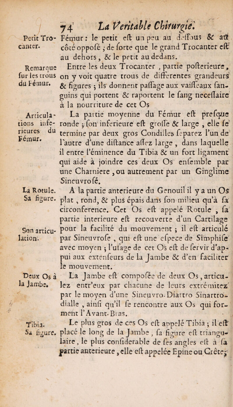 .■4 Petit Tro- canter. Remarque fur les trous du Fémur. Articula¬ tions infe¬ rieures du Fémur. La Rotule. Sa figure. Son articu¬ lation; Deux Os à la Jambe* tibia. Sa figure. .. ^ 74’ La Ventahle Chîfurgiél Fémur: le petit efl un peu au d>4riU5 & aù coté oppofé de forte que le grand Trocanter cft’ au dehors 5 5c le petit au dedans. Entre les deux Trocanter , partie pofterieure, on y voit quatre trous de differentes grandeurs & figures J ils‘ donnent pafifage aux vaiifeaux fan- guins qui portent & raportent le fang necefîaire à la nourriture de cet Os La partie moyenne du Ferhur eft prefq.ue ronde ^ fon'inferieure eft grofte Ôc large , elle fé termine par deux gros Condilles> feparez F un de Tautre d’une diftancc aftez large , dans laquelle il entre l’éminence du Tibia de un fort ligament qui aide à joindre ces deux Os enfcmble par une Charnière ,ou autrement par un Ginglime Sineuvrofé, A la partie anterieure du Genouiî il y a un 05 plat , rond, de plus épais dans fon milieu qu’à fa circonférence. Cet Os eft appelé Rotule , fa partie intérieure eft recouverte d’un Cartilage pour la facilité du mouvement ; il eft articulé par Sineuvrofe , qui eft une efpece db Simphife' avec moyen ; l’ufage de cet Os eft de fervir d’ap^ pui aux extenfeurs de la Jambe & d’en faciliter le mouvement. La Jambe eft compofée de deux Os,articu¬ lez entr’eux par chacune de leurs extrémités' par le moyen d’une Sineuvro-Diartro Sinartro- dialle , ainfi qifil fe rencontre aux Os qui for¬ ment l’Avant-Bras. Le plus gros de ces Os eft appelé Tibia ; il eft placé le long de la Jambe , fa figure eft triangu¬ laire , le plus confiderable de fes angles eft à fa partie anterieure, elle eft appelée Epine ou Grêtej-