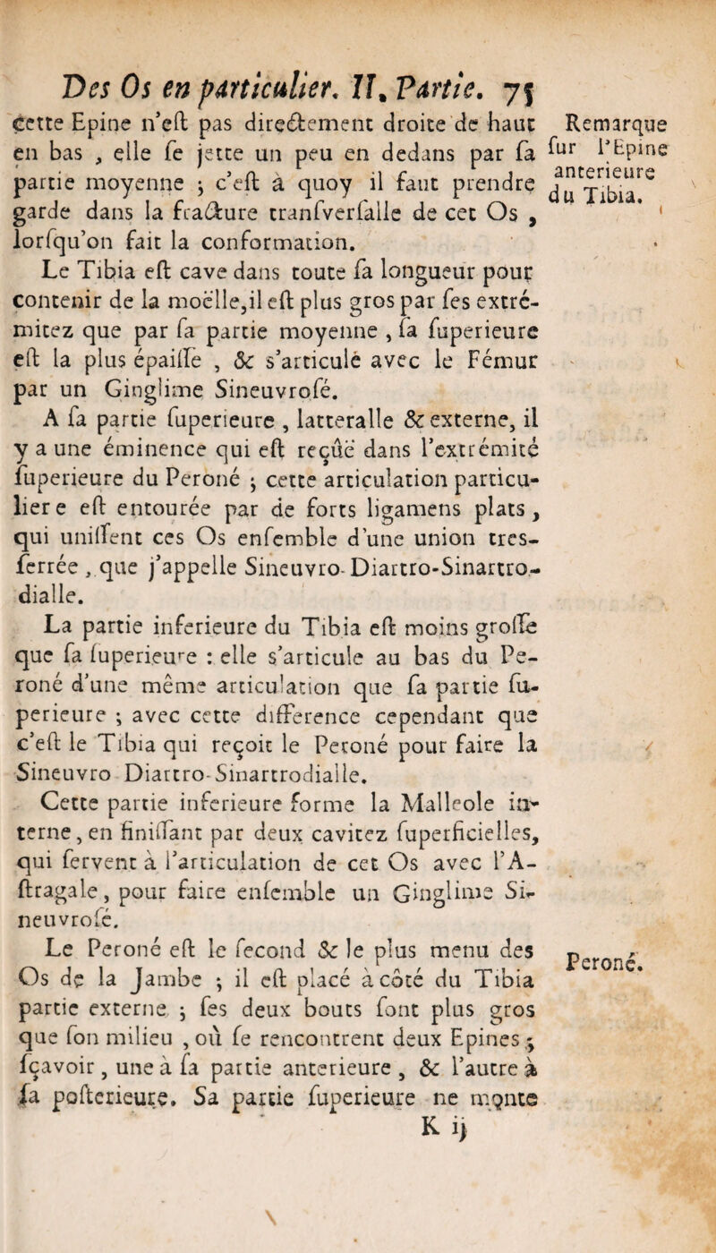 cette Epine n’eft pas direéiement droite de haut en bas , elle fe jette un peu en dedans par fa partie moyenne ^ c’efl; à quoy il faut prendre garde dans la feadure tranrverfalie de cet Os , lorfqu’on fait la conformation. Le Tibia efl: cave dans toute fa longueur pour contenir de la moelle,!! efl; plus gros par fes extré- mitez que par fa partie moyenne , fa fuperieure eft la plus épaillè , 5c s’articule avec le Fémur par un Ginglime Sineuvrofé. A fa partie fuperieure , latteralle & externe, il y a une éminence qui eft reçue dans rc-xtrémité fuperieure du Péroné ^ cette articulation particu¬ lier e eft entourée par de forts ligamens plats, qui unilfent ces Os enfcmble d’une union très- ferrée , que j’appelle Sineuvro-Diartro-Sinartro- dialle. La partie inferieure du Tibia eft moins grolïc que fa (uperieure : elle s’articule au bas du Pé¬ roné d’une même articulation que fa partie fd- perieure ; avec cette différence cependant que c’eft le Tibia qui reçoit le Péroné pour faire la Sineuvro Diartro-Sinartrodialle. Cette partie inferieure forme la Malléole ia^ terne, en finiftant par deux cavitez fuperficielies, qui fervent à l’articulation de cet Os avec f A- ftragale, pour faire enfcmble un Ginglime SL neuvrolé. Le Péroné eft le fécond 5c le plus menu des Os de la Jambe ; il eft placé à côté du Tibia partie externe j fes deux bouts font plus gros que fon milieu ,où fe rencontrent deux Epines,; fçavoir, une à fa partie anterieure, 5c l’autre à fa pofterieure. Sa partie fuperieure ne mgnte K i> Remarque fur PEpine anterieure du Tibia. I Péroné.