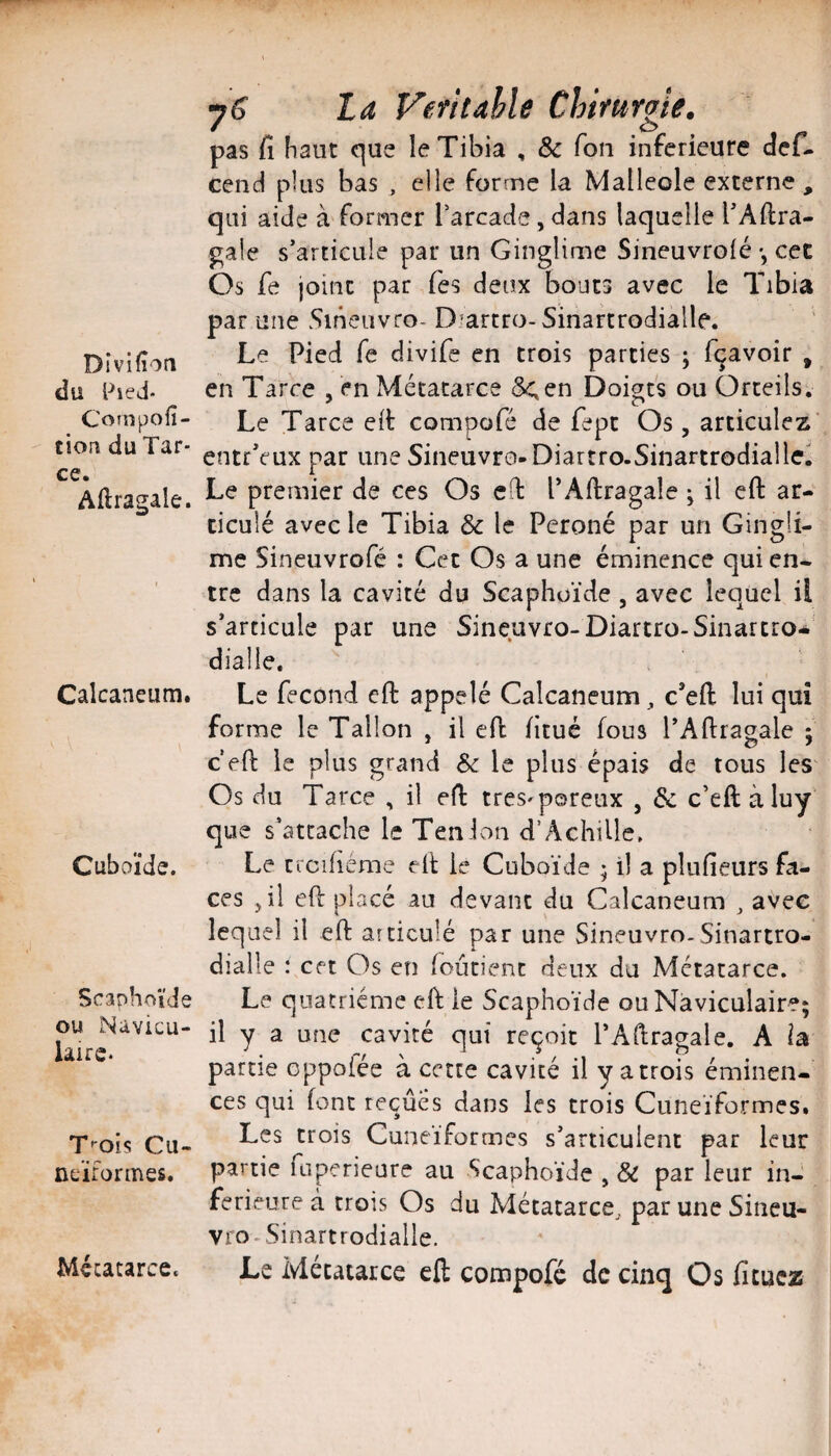 Divifîoa du Pied- Corn polî- tion du Tar- ce. Aftragale. Calcanéum. Cuboïde. Scaphoïde ou Navicu- iaire- T;ois Cu¬ néiformes. 7^ La Veïitahle Chirurgie. pas fi haut que le Tibia , & Ton inferieure def- cend plus bas , elle forme la Malléole externe , qui aide à'former rarcade,dans laquelle l'Aftra- gale s’articule par un Ginglime Sineuvrolé -, cec Os fe joint par Tes deux bouts avec le Tibia par une Sineiivro- Diartro-Sinartrodialle. Le Pied fe divife en trois parties j fçavoir , en Tarce , en Métatarce Scen Doigts ou Orteils. Le Tarce elt compofé de fept Os , articulez entr’eux par une Sineuvro-Diartro-Sinartrodialle. Le premier de ces Os ed PAftragale ; il cft ar¬ ticulé avec le Tibia & le Péroné par un Gingli¬ me Sineuvrofé : Cet Os a une éminence qui en¬ tre dans la cavité du Scaphoïde , avec lequel il s’articule par une Sineuvro-Diartro-Sinarcro-' dialle. Le fécond eft appelé Calcanéum, c’eft lui qui forme le Talion , il eft fitué fous l’Aftragale ; c eft le plus grand & le plus épais de tous les Os du Tarce , il eft tres-poreux , Sc c’eft àluy que s’attache le Tenion d’Achille. Le crcihéme eft le Cuboïde ; il a plufieurs fa¬ ces ,il eft placé au devant du Calcanéum avec lequel il eft articulé par une Sineuvro-Sinartro- dialle : cet Os en (oûtienc deux du Métatarce. Le quatrième eft ie Scaphoïde ouNàviculair?; il y a une cavité qui reçoit l’Aftragale. A la partie Gppoiée à cette cavité il y a trois éminen¬ ces qui font reçues dans les trois Cuneïformes. Les trois Cuneïformes s’articulent par leur partie fuperieare au Scaphoïde , & par leur in¬ ferieure à trois Os du Métatarce, par une Sineii- vro-Sinartrodialle. Le Métatarce eft compofc de cinq Os fi tuez Métatarce.