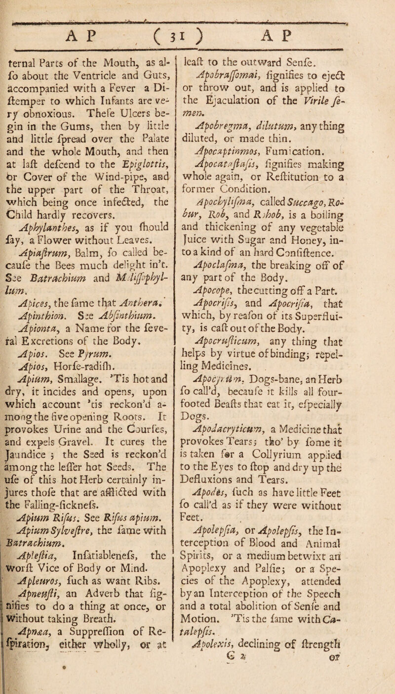 ternal Parts of the Mouth, as a!- fo about the Ventricle and Guts, accompanied with a Fever a Di- ftemper to which Infants are ve¬ ry obnoxious. Thefe Ulcers be¬ gin in the Gums, then by little and little fpread over the Palate and the whole Mouth, and then at laffc defcend to the Epiglottis, br Cover of the Wind-pipe, and the upper part of the Throat, which being once infected, the Child hardly recovers. Aphylanthes, as if you fhould fay, a Flower without Leaves. Apiajirum, Balm, fo called be- caufe the Bees much delight ink. See Ratrach'mm and Mdijfipbyl- lum. Apices, the fame that Anthem. Apinthion. See Abfinthium. Apionta, a Name for the feve- ral Excretions of the Body. Apios. See Pyrum. Apios, Horfe-radifh. Apium, Smallage. ’Tis hot and dry, it incides and opens, upon which account *tis reckon'd a- mong the live opening Roots. It provokes Urine and the Courfes, and expels Gravel. It cures the Jaundice $ the Seed is reckon’d among the leffer hot Seeds. The ufe of this hot Herb certainly in¬ jures thofe that are afllidfed with the Falling-ficknefs. Apium Rifus. See Rifus apium. Apium Sylveftre, the fame with Batrachium. Aplejlia, Infatiablenefs, the Worft Vice of Body or Mind. Apleuros, fuch as want Ribs. Apneujli, an Adverb that Ag- j nifies to do a thing at once, or i Without taking Breath. ^ Apnsta, a Suppreflion of Re- J%iratkm3 either wholly, or M leaft to the outward Senfe. Apobraffomai, Signifies to eje£t or throw out, and is applied to the Ejaculation of the Virile fe¬ rn en. Apobregma, dilutum> any thing diluted, or made thin. Apocaptinmos, Fumication. Apocatafiafis, dignifies making whole again, or Reftitution to a former Condition. dpocbyltfma, called Succago, Ro- bur, Roby and Rihob, is a boiling and thickening of any vegetable Juice with Sugar and Honey, in¬ to a kind of an hard Coniiftence. Apoclafma, the breaking off of any part of the Body. Apocope, the cutting off a Part. Apocrifisy and Apocrifea, that which, byreafbn of its Superflui¬ ty, is caff out of the Body. Apocrpifeicum, any thing that helps by virtue of binding; repel¬ ling Medicines. Apocyr Um, Dogs-bane, an Herb fo call’d, becaufe it kills all four- footed Beafts that eat it, efpecially Dogs. Apodaeryticum, a Medicine that provokes Tears5 tfeo’by fome it is taken for a Collyrium applied to the Eyes to flop and dry up the Defluxions and Tears. Apodes, fuch as have little Feet fo call’d as if they were without Feet. Apolepfia, oy Apolepfisy the In¬ terception of Blood and Animal Spirits, or a medium betwixt ari Apoplexy and Palflej or a Spe¬ cies of the Apoplexy, attended by an Interception of the Speech and a total abolition of Senfe and Motion. ’Tis the fame with Ca- tahpfis. Apokxis, declining of ftrength G 2i Qf