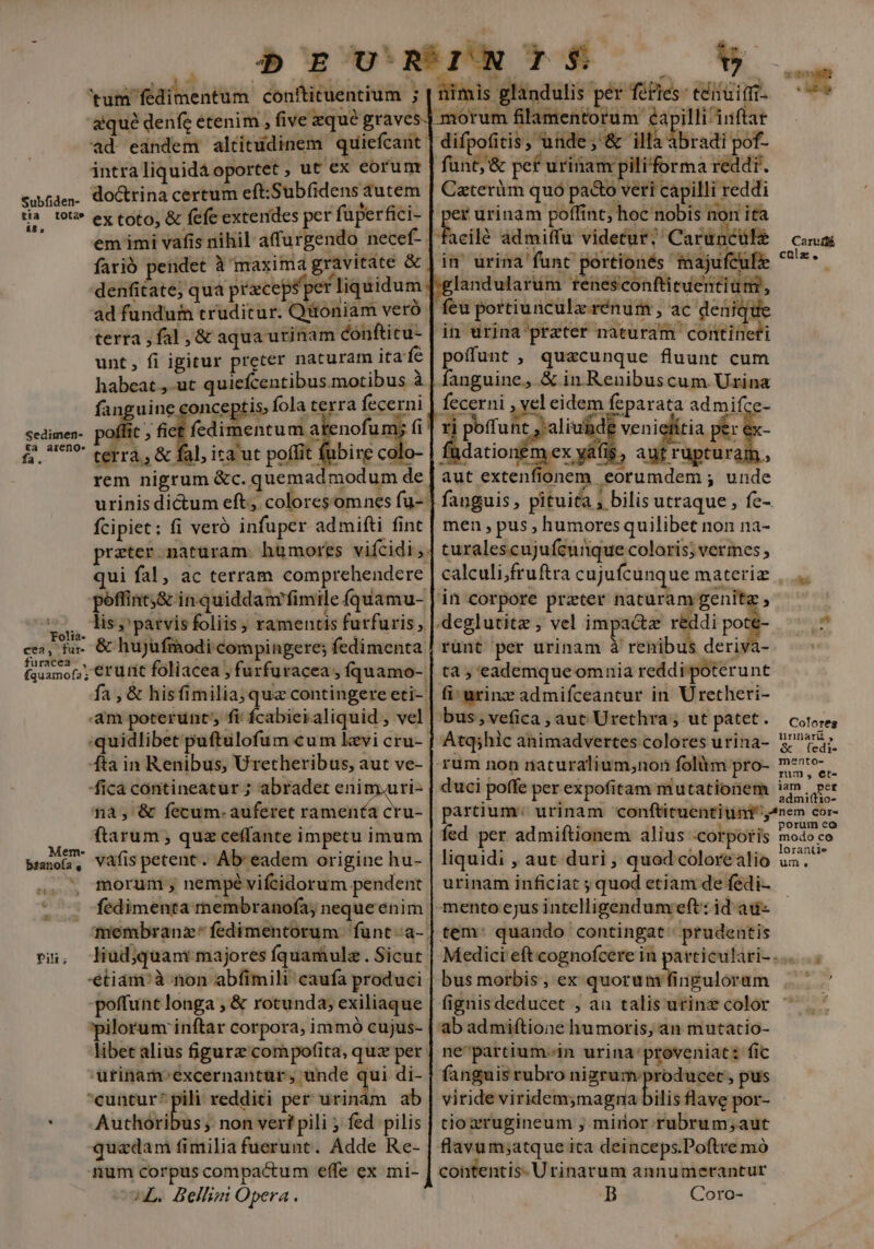 e btfanoía | j Y. 1 CR * x tum fedimentum conftituentium ; ad eandem altitudinem quiefcant intraliquidáoportet , ut ex eorunt do&amp;rina certum eft:Subfidens autem &amp; fefe extendes per füperfici- em imi vafis nihil afurgendo necef- farió pendet à maxima gravitate &amp; ad funduin cruditur. Qitoniam verà terra , fal ,&amp; aqua urinam conftitu- unt, fi igitur preter naturam ita'fe habeat ,-ut quicícentibus motibus à fanguine conceptis, fola terra fecerni nofum; fi ibire coli rem nigrum &amp;c. quemad modum de fcipiet: fi veró infuper admifti fint qui fal, ac terram comprehendere &amp; hujufmodi compingere; fedimenta am poterunt; fi: ícabiealiquid , vel quidlibet puftulofum cum lzvi cru- fta in Renibus, Uretheribus, aut ve- fica contineatur ; abradet enim.ari- na, &amp; fecum- auferet ramentca cru- ftarum , quz ceffante impetu imum vafis petent . Ab eadem origine hu- Pili; * fedimenta membranofa, neque enim poffunt longa , &amp; rotunda; exiliaque pilorum inftar corpora, immó cujus- libet alius figurz com pofita, quz per utinam^excernantür, unde qui di- cuntur* pili redditi per urinám ab Aulus ; non vert pili ; fed pilis quadam fimilia fuerunt. Adde Re- num corpus compactum effe ex mi- cw. Bellim Opera. LA nimis glandulis per féiles: eiit rum filamentorum £apilli inftar difpoüitis, unde ;'&amp; illà abradi pof- funt; &amp; pef urinam pili forma reddit. Czterüm quó pacto veri capilli reddi Ww ürinam poffint; hoc nobis non ita faeilé ádmiffu videtur; Carunculz in urina funt portionés inajufcube landularum renesconfticuentium;, feu portiunculz rénüm , ac denique in urina preter naturam contineri poffunt , quacunque fluunt cum fanguine, &amp; in Renibuscum Urina fecerni , vel eidem feparata ad mifce- Y pofuit jalin de venieiitia per : dationem ex: 5» AU ruptur 2] - aut extenfionem eorumdem ; unde men pus , humores quilibet non na- turalescujufcunque coloris; vermes in corpore prater naturam genita ;deglutitz , vel impact reddi pote- rünt per urinam à renibus deriv ta ; eademqueomnia reddi poterunt fi: urinz admifceantur in Uretheri- | bus, vefica , aut Urethra ; ut patet. Atq;hic animadvertes colores urina- rum non naturalium;non folüm pro- duci poffe per expofitam mutationem fed per admiftionem alius -corporis liquidi , aut duri, quod colorealio urinam inficiat quod etiam de fedi- mento cjus intelligendum: eft: id ad- tem: quando contingat; prudentis bus morbis, ex quorum fingulorum fignisdeducet , an talis utinz color ab admiftione humoris, an mutatio- ne'partium-in urina'proveniat: fic fanguis rubro nizrum producet , pus viride viridem;magna bilis flave por- tioxrugineum ,; minor rubrum;aut flavum;atque ita deinceps.Poftre mó contentis- Urinarum annumerantur B Coro- Caruif&amp; cülz., Coloreg urnariü, &amp; fedi» mento- rum, et- iam | per admittio- porum eo modo ce lorantie um,