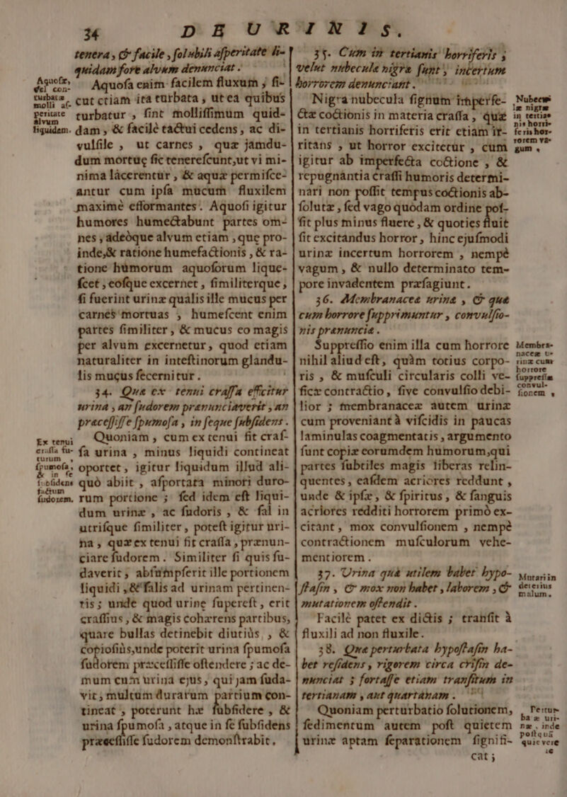 tenera &amp; facie , folubihi afperitate di- widam fore alvum denunciat. 7 Aquofa enim facilem fluxum ; fi- cubi2, eut cciam ira turbata , utea quibus peritace turbatur * fint tholliffimum quid- liquidam. dam , &amp; facilé tà&amp;tui cedens, ac di- vulfile , ut carnes , quz jamdu- dum mortuc fic tenerefcunt,ut vi mi- nima lácerencur , &amp; aquz permifce- antur cum ipfa mücum fluxilem jmaxime efformantes. Aquofi igitur humores hume&amp;abunt partes om- nes , ádeóque alvum etiam , que pro- inde,&amp; ratione humefactionis , &amp; ra- tione liámorum aquoforum lique- fcet , eofque excernet , fimiliterque, fi fuerint urinz qualisille mucus per carne$'mortuas ; humefcent enim partes fimiliter, &amp; mucus co magis per alvum excernetur, quod etiam naturaliter in inteftinorum glandu- lis mucus fecernitur. 34. Que ex tenni craffa efficitur nrina , an [udorem pranunciaverit , an preceffiffe fpumofa , in feque [nbfiders . rx ve»; — Quoniam , cum ex tenui fit craf- eris &amp;- fa urina , minus liquidi contineat (jomofa, oportet , igitur liquidum illud ali- t;&amp;üdem quó abiit , afportata minori duro- fidozm. rum portione ; fed idem eft liqui- dum urinz , ac fndoris , &amp; fal in utrifque fimiliter, poteft igitur nri- na , quz ex tenui fit crafía , prznun- ciarefudorem . Similiter fi quis fu- daverit; abfufpferit ille portionem liquidi ,&amp; falis ad urinam pertinen- ris; unde quod urine fupereft , erit craffius , &amp; magis cohzrens partibus, are bullas detinebit diuciüs. , &amp; emi nde poterit urina fpumofa fadorem przcetliffe oftendere ; ac de- mum cn urina ejus , qui jam fuda- vic, multum durarum partium con- tineat , poterunt hx fübfidere , &amp; urina fpumofa , atque in fe fubfidens praecfiile fudorem demonftrabit., Aquofz, el con- 35. Cum in. tertianis boryifevis ; borrorem denunciattt. 50 Nigra nubecula fignum irnperfe- Ga co&amp;tionis in materia craffa, dua in tertianis horrifetis erit etiam it- ritáns , ut horror excitecür , cum igitur ab imperfe&amp;a co&amp;ione , &amp; repugnantia craffi humoris determi- nari non poffit tempus co&amp;tionis ab- folutz , fed vago quodam ordine pot- fit plus minus fluere , &amp; quoties fluit fit excitandus horror , hinc ejufmodi urinz incertum horrorem , nempé vagum , &amp; nullo determinato tem- pore invadentem przfagiunt. 36. Membranacea urina , C que cum borrore fupprimuntur , comvulfo- »is pramumcia . Suppreffio enim illa cum horrore nihil Piudet, quàm totius corpo- ris , &amp; mufculi circularis colli ve- fic contractio, five convulfio debi- lior ; tnembranacez autem urinz cum proveniantà vifcidis in paucas Iaminulas coagmentatis , argumento funt copiz corumdem humorum;qui rtes fubtiles magis liberas relin- quentes , eafdem acriores reddunt , unde &amp; ipfe, &amp; fpiritus, &amp; fanguis acriores rédditi horrorem primó ex- citànt, mox convulfionem , nempe contractionem mufculorum vehe- mentiorem . 37. Urnza quá utilem babet bypo- Mutariin Jfafin , C mox mon babet , laborem ,C 3e eiws mutationem offendit . Facilé patet ex dicis ; tranfit à fluxili ad non fluxile. | 38. Que perturbata bypoflafin ba- bet refidens , rigorem circa c*ifm de- nunciat 5 fortaffe etiam tranfiturn in tertianam ,aut quartàyam .— 77 ! Quoniam perturbatio folutionem, fedimentum autem poft quietem urinr aptam feparationem fignifi- cat ; Nubecw lg nigram in tertiae nis horri- feris hor- rorem va» gum « Membrs- naceg c- rinz cumr horrore fupprefías convul- fionem - Pertur az uri- ng , inde pottqu&amp; quie vere i