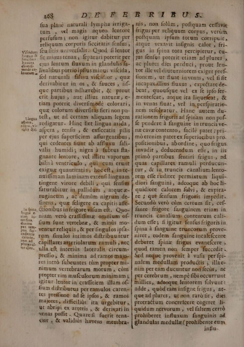 fua plane naturali lympha irriga- , nis, non folàm , poftquam ceffávie tum , vel magis aquco lentore frigus per rcliquum Corpus, verüm perfufum ; non igitur dabitur p pofiquam | ipfum totum corripuit , reliquum corporis ficcitatis fenfus , | atque. vexavit infignis calor , fri- feu íitis univerfalis.. Quod, filentor | gus in fpina tota percipietur , cu- fit minus tenax , feparari poterit per | jus fenfus poterit etiam ad plures , cjus lentum fluxum in glandulis ac plures dies perduci, prout len- livalibus portioipfius minus vifcida, | tor ille vcl diuturniorem exiget pref-. fed naturali faliva vifcidior , quz | fionem, ut fluat invenas, vel fi fit derivabitur in. os , &amp; fauces , iif- incapaxállius fluxus , expectare de- quc partibus adharebit, &amp; prout | beat, quoufque vel ex fe ipfo fer- crit hujus , aut illius naturz, e- | mentefcat, atque ita fbsiiime &amp; tiam poterit. diverfi € colorari, | in venas fluat, vcl in, perfpiratio- qua colorum diverfitas ficri non po- | nem rcfolyatur. Hanc autem du- teft, uc ad certam aliquam legem | rationem frigoris ad fpinam non pof- redigatur. Hinc fiet lingua arida , | fe pendere à fanguine in truncis ve- afpera , tenfis , &amp; exficcatis pilis | nz cavz contento, facilé patet ; pri- per ejus fupericiem. affurgentibus , | mó etenim patet ex fuperioxibus pro. qui cedentes fiunt ab affluxu | fali- | pofitionibus, abordine, quo frigus. valis humidi; nigra à fubtus fta- | invadit , deducendum eíie, in iis gnantc lentore, vel illitu vaporum | primó partibus fentiri frigus., ad bilisà ventriculo , qui-cum erunt|quas capillares ramuli perducun- exigua quantitatis, ho s» imte-] cur, &amp; in, truncis canalium lento- nuiffimam laminam extenfi linguam $ rem effe ruditer permixtum liqui- tingent virore debili , qui. fenfim | diori fanguini , adeoque ab hoc li- faturabitur in pallidum , atque z- quidiore calorem folvi, &amp; expira- rugineüm , ac demüm nigrum de- | rc ; qui fenfum frigoris impedit. fünens, quz feligere ex capitisaffe- | Secundó veró cüm certum fit, cef- &amp;ionibus ii rigore vifum eft. Quo- fante frigore fanguinem etiam in - niam vero craffiffimz omnium of- truncis rn cali- dum effe; fi igitu fenfus frigoris in. fpina à fanguine truncomum prove- niret , eodem fanguine incalefcente deberet. fpinz  evanefcere , quod tamen non. femper fuccedit .. Scd n provenit à vafis per fpi- nalem medullam produ&amp;is ; illae- nim per eam ducuntur nori fecüs, ac per cerebrum , nempé fibi occurrunt Mlies,, adeoque lentorem folvunt: - fium funt vertebrz, &amp; minüs mo- : ventur reliquis , &amp; per fingulos ipfa- rum finulos intimos diftribuuntur . capillares argeriolarum ramuli , nec ulla cft. interiüs. lateralis. circum- preffio , &amp; minima ad ramos maj 1c5 intró fubeuntes tüm propter mi- nimum vertebrarum motum , cüm propter vim mufculorum minimam ;, igitur lentor in craffitiem. illam of- fium diftributus per ramulos caren- | adde ,, quód cam infigne frigus , at- tcs preffione adíe ipfos, &amp; ramos | quead plures, ut non raro fit, dies majores, difficilis. ita urgebitur | protractum concrefcere cogeret li- Ut abripi ex arteris , &amp; derivati in. | quidum nervorum , vel faltem certó wenas poffit. Quarefi fuerit tena- prohiberet influxum fanguinis ad «or , &amp; validis haerens. megbra- glandulas mcedullz ( prohibente eum * influ-