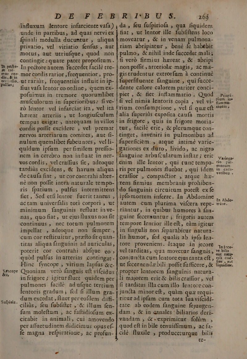 unde in partibus, ad quas nervi ex Ípinali medulla ducuntur , aliqua privatio, vel vitiatio fenfus , aut motus, aut utriufque; quod non contingit :quare patet uae : -dis , &amp; in pulfus; €; Sufpiria . mor Cordis rarior , frequentior , pro- utrariüs, frequentiüs influit in ip- fius vafa lentor eootdine, quemex- pofuimus in tremore. quorumlibet mufculorum in. fuperioribus: fi ve- ró lentor vel infarciat ita, vel ita hzreat arteriis , ut longiufculum cordis poffit excidere , vel premat nervos arteriarum comites, aut fi- nulum quemlibet fubeuntes , velli- quidum ipfum perfimilem preffio- nem in cerebro non inflaat in ner- vos cordis, velcraífius fit, adeoque tardiüs excidens, &amp; harum aliqua decaufa fiat , ut corcontrahi alter- né non poffit intra naturale tempo- ris fpatium , pulfus intermittens fiet , Sed etfilentor fuerit tantus , actam uuiverfalis toti corpori , ut minimum fanguinis refluat in ve- nas, quo fiat, ut ejusfluxus non fit continuus , nec totum pulmonem impellat , adeoque non femper, cum cor reftituitur , przfto (it quan- titas aliqua fanguinis ad auriculas, poterit cor contrahi abíque €o » quód pulfus inarterias contingat. Hinc fyncope , virium lapfus &amp;c. infrigore; igiturfluet quidem per pulmones facilé aduífque tercium lentoris gradum ; fed fi illum gra- dum excedat , fluet per eofdem diffi- ciliis, feu fubfiftet ,; &amp; illum fen- citabit in animali, cui amovendo per affuetudinem didicimus opus ef- 26ó moveatur , &amp; in venam pulmona- pulmo, &amp; nihil inde fuccedet mali; |f veró firmius hzreat , &amp; | abripi non poffit , arteriolz magis, ac ma- gistrudentur extrorfum à continué fuperffluente fanguine , qui fucce- i dente calore calorem pariter conci- piet , &amp; fiet inflammatio . Quod rium confumptione , vel fi quz eft alia fuperiüs expofita caufa mortis frigore , quis in frigore moria- gationes ex duro, livido, ac nigro fanguine atbufcularum inftar ; eric enim ille lentor, qui tunc tempo- craffior , compa&amp;ior , atque hz- rens firmius membranis prohiben- do fanguinis circuitum poteft ex fe ipfo mortem inferre. In. Abdomine autem cum plurima vifcera repe- riantur; in quibus humores à ían- guine fecerauntur ; frigotis autem tempore lentior illeeft, tm igitur in fingulis non feparabitur natura- lis humor, fed qualis ab ipfo lea- tore proveniens. Itaque in jecore vel tarditas, qua movetur fanguis, conjuncta cum lentore ejus tanta eft , ut fecernendz bili- poffit fufficere , &amp; propter lentorem fanguinis natura- li majorem erit &amp; biliscratfior , vel fi tarditas illacum illo lentore con- juncta minor eft , quim quz requi- ritur ad ipfam cum tota fua vifeidi- tate. ab eodem fanguine fejungen- dam , &amp; in ganales ' biliarios deri- vaudam , &amp;.exprimitur folàm , quod eft in bile tenuiffimum, ac fa- cilé. fluxile , produccturque bilis tc- , Pritict- pium ine flamma- X10Els , Variegas to pul- «nonum in cada- veribus « In Abdos mine. In jeco- ve bilis rali craf- liquidioc,