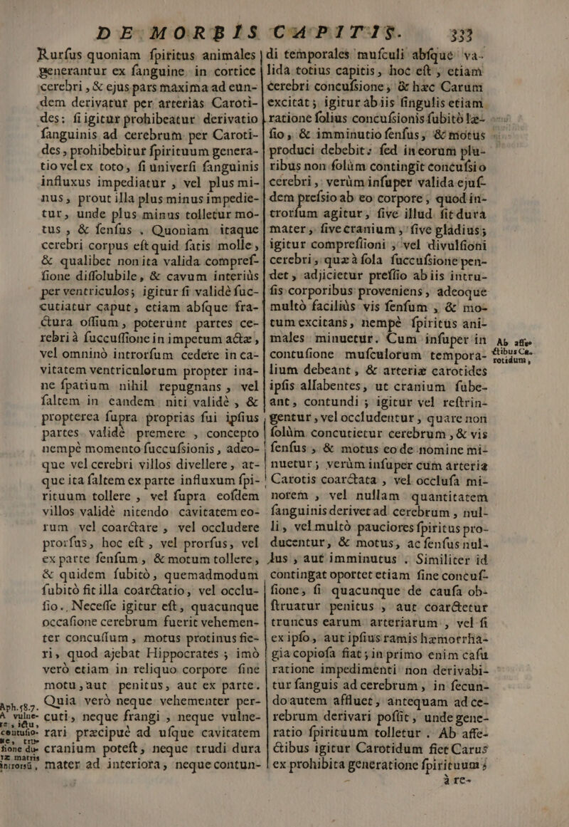 Aph.(8.7. A he u A hone Ir matris inirorsü , tru du- DE MORBIS Rurfus quoniam fpititus animales generantur ex fanguine. in cortice cerebri , &amp; ejus pars maxima ad eun- des: fiigitur prohibeatur derivatio fanguinis ad cerebrum per Caroti- des , prohibebitur fpirituum genera- tio velex toto, fi univerfi fanguinis influxus impediatur , vel plus mi- nus, prout illa plusminus impedie- tus , &amp; fenfus . Quoniam itaque cerebri corpus eft quid fatis molle, &amp; qualibet nonita valida compref- fione diffolubile, &amp; cavum interiüs per ventriculos; igitur fi validé fuc- cutiatur caput, ctiam abíque fra- cura offium , poterunt partes ce- rebrià fuccuffione in impetum actz , vel omninó introrfum cedete in ca- vitatem ventriculorum propter ina- ne fpatium nihil repugnans , vel faltem. in. eandem | niti validé , &amp; propterea fupra proprias fui ipfius partes. validé. premere , concepto nempé momento fuccufsionis , adeo- que velcerebri villos divellere , at- que ita faltem ex parte influxum fpi- rituum tollere , vel fupra eofdem villos validé nitendo. cavitatem eo- rum vel coarctare , vel occludere prorfus, hoc eft, vel prorfus, vel ex parte fenfum ,' &amp; motum tollere; &amp; quidem fubitó, quemadmodum fubitó fit illa coarctatio, vel occlu- fio., Neceffe igitur eft, quacunque occafione cerebrum fuerit vehemen- ter concufíum , motus protinus fie- ri, quod ajebat Hippocrates ; imó veró etiam in reliquo corpore fine motu,aut penitus, aut ex parte. Quia veró neque. vehementer per- cuti, neque frangi , neque vulne- rari przcipué ad ufque cavitatem cranium poteft, neque trudi dura mater ad interiota, neque contun- A ——ÀÁ— CuPITIS$. 3m lida totius capitis, hoc eft , etiam éerebri concufsione,; &amp; hzc Carum produci debebit; fed in eorum plu- ribus non folàm contingit concufsio cerebri ,; verim infuper valida ejuf- dem prefsioab eo corpote ; quod in- trorfum agitur, five illud. fit duva mater , fivecranium , five gladius; igitur comprefíioni ; vel divulfioni cerebri, quzàfíola fuccufsione pen- det , adjicietur preffio ab iis intru- fis corporibus proveniens ; adeoque multó facilis vis fenfum , &amp; mo- cumexcitans, nempe fpiritus ani- males. minuetur. Cum infuper in contufione mufculorum tempora- lium debeant, &amp; arteriz carotides ipfis allabentes, uc cranium fübe- ant, contundi ; igitur vel reftrin- gentur , vel occludentur ; quare nori folàm. concutietur cerebrum , &amp; vis fenfus , &amp; motus eode nomine mi- nuetur; verüm infuper cum arteria ! Carotis coar&amp;tata , vel occlufa mi- notfefn , vel nullam quantitatem fanguinis derivetad cerebrum , nul- li, vel multó pauciores fpiritus pro- ducentur, &amp; motus, acíeníusnul. Aus , aut imminutus . Similiter id contingat oportet etiam fine concuf- fione; fi. quacunque: de caufa ob- ftruatur penitus , aut coar&amp;etur truncus earum arteriarum , vel fi exipío, autipfius ramis hzmorrha- gia copiofa fiat ; in primo enim cafu ratione impedimenti: non derivabi- tur fanguis ad cerebrum , in fecun- doautem affluet, antequam ad ce- rebrum derivari pofüt, undegene- ratio fpirituum tolletur .. Ab affe- &amp;ibus igitur Carotidum fiet Carus ex prohibita generatione fpirituum à re- Ab affe» rotidum ,