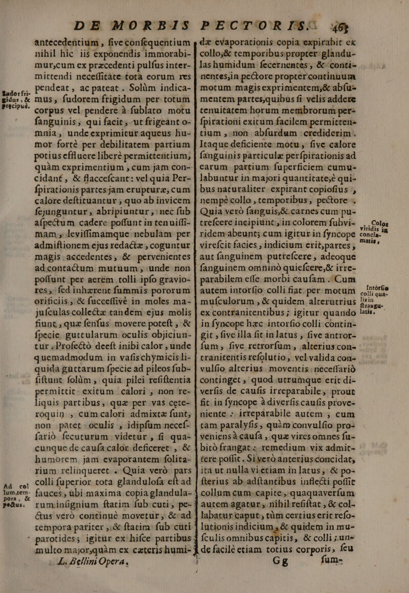 Sudor fri- gidus, &amp; Prscipué, Ad col lum,tem- pora, &amp; pectus. DE MORBIS antecedentium , fiveconfequentium nihil hic iis exponendis immorabi- mur;cum ex przcedenti pulfus inter- mittendi neceffitáte tota corum 1vs pendeat, ac pateat. Solüm indica- mus, fudorem frigidum per totum corpus vel pendere à fublato motu fanguinis qui facit ; ut frigeant o- mnia, undeexprimitur aqueus hu- mor forté per debilitatem: partium potius effluere libere permictentium, cidant, &amp; flaccefcant: vel quia Per- fpirationis partesjam erupturz, cum calore deftituantur ; quo ab invicem fejunguntur ; abripiuntur , nec füb afpectum cadere poffunt in tenuiffi- mam , leviffimamque nebulam per magis accedentes, &amp; pervenientes adcontactum mutuum , unde non poffunt per aerem tolli ipfo gravio- res, fed inherent fummis pororum orificiis ;' &amp; fucceflivé in moles ma- juículas collec tandem ejus molis fiunt , quz fenfus movere poteft , &amp; fpecie. guttularum oculis objiciun- tur ;Profectó deeft inibi calor , unde quemadmodum in vafischymicis li- quida güuttarum fpecie ad pileos fub- fiftunt folàm , quia pilei refiftentia permittit: exitum calori , non re- liquis partibus, qua per vas cete- roquin , cum calori admixta funt, non patet oculis , idipfum necef- farió fecuturum videtur , fi qua- cunque de caufa calor deficeret , &amp; humorem. jam evaporantem folita- rium relinqueret . Quia veró pars colli fuperior tota glandulofa eft ad ruminügnium ftatim fub cuti, pe- tempora pariter ;;&amp; ftatim: fub cuti L. Bellini Opera, PECTOR I$. 46 dz evaporationis copia expirabit e colloj&amp; temporibus propter glandu- lashumidum fecernentes, &amp;-conti- nentesin pe&amp;ore proptercontinuum motum magis exprimenteni;&amp; abíu- mentem partes,quibus fi velis addere tenuitatem horum membrorum per- tium , non abfurdum crediderim . Itaque deficiente motu , five calore fanguinis particula perfpirationis ad earum partium fuperficiem cumu- labuntur in majori quantitate;e qui- bus naturaliter expirant copiofius ', nempé collo , temporibus, pe&amp;ore . Quia veró fanguis, &amp;.carnes cum pu- crefcere incipiunt, in colorem fubvi- ridem abeunt; cum igitur in fyncope virefcit facies ; indicium erit;partes , aut fanguinem putreícere , adeoque fanguinem onininó quiefcere,&amp; irre- parabilem effe. morbi caufam . Cum autem intorfio colli fiat.per motum mufculorum , &amp; quidem alterutrius ex contranitentibus; igitur quando in fyncope hzc intorfio colli contin- git ; five illa fit inlatus , five antror- fum; five retrorfum , alterius con- tranitentisrefolutio, vel valida con- vulfio alterius. moventis ; neceffarió continget , quod utrumque erit di- veríis de caufis irreparabile, prout fit in fyncope à diverfis caufis prove- niente :. irrepárabile autem , cum tam paralyfis , quàm convulfio pro- veniensà caufa , quz vircsomnces fu- bitó frangat: remedium vix admit- tere poffit . Si veró anterjusconcidat, ita ut nulla vietiam in latus, &amp; po- fterius ab adí(tantibus infle&amp;i poffit collum cum: capite ,.quaquaverfum autem agatur ; nihil refiftat ; &amp; col- labatur caput ; tàm certius eric refo- lutionis indicium , &amp; quidem in mu- ículis omnibus cds » &amp; colli un Gg fum- ,..Colos viridis j concia- matig , Intórfio colli qua- lisin ftraugu- latis, '