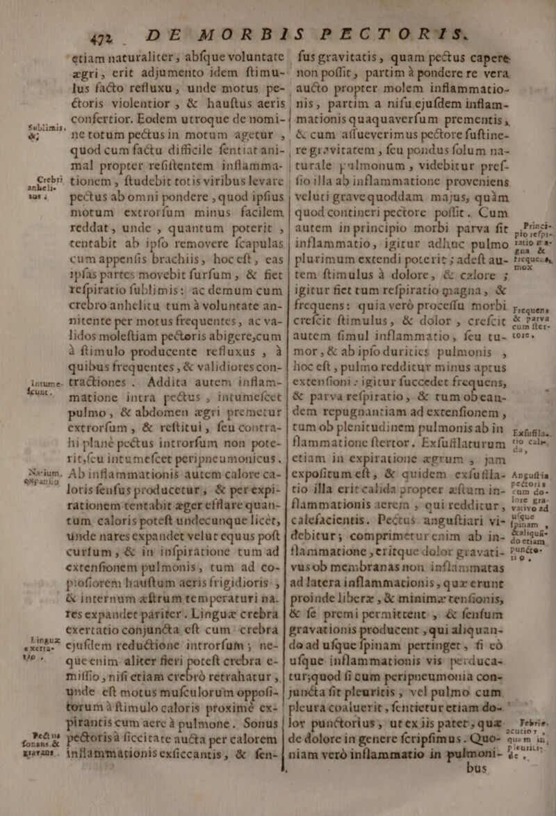 Sublimis, X. Crebri anheli- [UTEM intume- Ícunt. Na'ium, expaníio agri, crit adjumento idem ftimu- lus facto refluxu, unde motus pe- étoris violentior ;, &amp; hauftus aeris confertior. Eodem utroque de nomi- ne totum pectusin motum agetur , quod cum factu difficile fentiatani- mal propter refittentem inflamma- tionem , ftudebit totis viribus levare pectus ab omni pondere , quod ipfius motum extrorfum minus facilem reddat, unde , quantum poterit , tentabit ab ipfo removere fcapulas cum appeníis brachiis, hoccfít, eas ipfas partes movebit furfum , &amp; fiet rcfpiratio fublimis: ac demum cum i en anhelitu tum à voluntate an- nitente per motus frequentes , ac va- lidos moleftiam pe&amp;eris abigere,cum à ftimulo producente refluxus , à quibus frequentes , &amp; validiorescon- tractiones . Addita autem inflam- matione intra pecus , intumefcet pulmo , &amp; abdomen agri premetur extroríum , &amp; reftitui ,. feu contra- hi plané pe&amp;us introrfum non pote- ritícu intumefcet peripneumonicus. Ab inflammationis- autem calore ca- lorisfeufus producetur, &amp; perexpi- rationem tentabit eger efflare quan- tum caloris poteft undecunque licet, unde nares expandet velut equus poft curfum , &amp; in infpiratione tum ad extenfionem pulmonis, tum ad co- piofiorem hauftum aeris frigidioris: Linguz excrta- to , Pectus fonans.&amp; giavans . res expaudet páriter. Linguz crebra exertatio conjun&amp;a eft cum. crebra ejufdem redu&amp;ione introrfüum ; ne- qucenim aliter fieri poteft crebra c- miílio , nifi etiam cr unde eft motus mufculorum oppofi- torum à ftimulo caloris proximé ex- pirantis cum aerc à pulmone .. Sonus pe&amp;orisà ficcitate au&amp;a per calorem inflammarionisexficcantis, &amp; fen- , fusgravitatis, quam pectus capere .nonpoffit, partim à pondere re vera. , aucto propter molem inflammatio- | nis, partim a nifu ejufdem inflam- mationis quaquaverfum prementis , , &amp; cum affueverimus pectore fuftine- | regravitatem , fcu pondus folum na- | turale pulmonum , videbitur pref- | fio illa ab inflammatione proveniens veluti gravequoddam majus, quàm quod contineri pectore. poflit. Cum autem inprincipio morbi parva fit inflammatio, igitur adhnc pulmo plurimum extendi poterit ; adeft au- tem ftimulus à dolore, &amp; calore ; igitur fiet cum refpiratio magna, &amp; m sr quia veró proceffu morbi crefcit ftimulus, &amp; dolor , crefcit autem fimul inflammatio, feu tu- mor,&amp; abipfíoduritics pulmonis , hoc eft , pulmo redditur minus aptus extenfioni : igitur fuccedet frequens, &amp; parva refpiratio, &amp; tum de dem repugnantiam ad extenfionem , tum ob plenitudinem pulmonis ab in flammatione ftertor. Exfü&amp;laturum etiam in expiratione agrum , jam expofitum cít, &amp; quidem exíufila- tio illa erit calida propter zftam in- flammationis aerem , qui reddicur , calefacientis. Pectus. anguftiari vi- debitur; comprimeturenim ab in- flammatione ; eritque dolor gravati- vusob membranas non inflammatas ad latera inflammacionis , qux erunt proinde liberz , &amp; minimz ten(ionis; &amp; íe premi permittent ,. &amp; fenfum gravationis produceut , qui aliquan- dead ufque fpinam pertinget, fi có ufque inflammationis vis perduca- tur;quod fi cum peripneumonia con- juncta fit pleuritis , vel pulmo cum. |! pleura coaluerit , fentietur etiam do-. lov de dolore in genere fcripfimus . Quo- niam veró inflammatio in m— us L] , Princi-. pio refpi-. ratio gma- gna &amp; trequeiz&amp;, mox Frequens &amp; parva cum fter- toic, Exfufíla.. tio Cale. da, Angufíla. pectoris cum do- lore gra- vativo ad. ufque Ípinam , aliqua : do etiam, punéte- no, CIE Febris. acutior ,. quam in, pieuriiis Ca