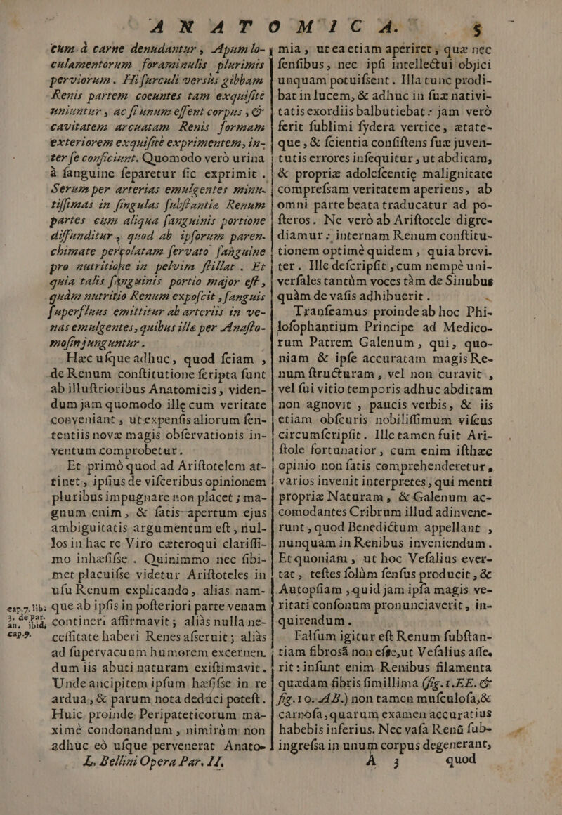 a Xu Toaucx. à eum. à carne denudantur , dpum lo- , mia , uteaetiam aperiret; quz nec culamentorum. foraminulis plurimis | fenfibus, nec. ipfi intelle&amp;ui objici perviorum . Hi furculi versi gibbam | unquam potuifsent. Illa cunc prodi- Renis partem coeuntes tam exquifité | batin lucem, &amp; adhuc in fuz nativi- uniuntur , ac ff unum effent corpus , C | catisexordiis balbutiebat : jam veró cavitateps arcuatam. Renis. formam | ferit fublimi fydera vertice, xtate- exteriorem exquifite exprimentem, in- | que , &amp; fcientia confiftens fux juven- zer fe conficizazt. Quomodo veró urina | tutis errores infequitur , ut abditam, à fanguine feparetur fic. exprimit | &amp; propriz adolefcentig malignitate Serum per arterias emulgentes minu. | comprefsam veritatem aperiens, ab tffimas in frmgulas fulffantia Renum | omni parte beata traducatur ad. po- partes. eum aliqua fanguinis portione | fteros. INe veró ab Ariftotele digre- diffunditur ,. quod ab. ipforum paren. | diamur ;; internam Renum conftitu- chimate percolatam fervato (anguine | tionem optimé quidem , quia brevi. p pacc im pelvim flillat . Er | ter. Ile defcripfit cum nempé uni- quia talis f(Anguimis portio major eff , | vexíalestantüm voces tàm de Sinubug quám nnutritio Remum expo[cit , fanguis | quàm de vafis adhibuerit . &amp; fuperfTnus emittitur ab arteriis in ve- | Tranfeamus proinde ab hoc Dhi- uas emulgentes, quibus /Ie per 24naffo- | ofophantium Principe ad Medico- imo[m jung untur . rum Patrem Galenum, qui, quo- Hzc ufque adhuc, quod fciam ,| niam &amp; ipíe accuratam magis Re- de Renum conftitutione fcripta funt | num ftru&amp;uram , vel non curavit , ab illuftrioribus Anatomicis , viden- | vel fui vitio temporis adhuc abditam dum jam quomodo ille cum veritate | non agnovit , paucis verbis, &amp; iis conyeniant , ut expenfisaliorum fen- | etiam obfcuris nobiliffimum vifeus tentiis novz magis obfervationis in- | circumfcripfit. Ille tamen fuit Ari- ventum comprobetur. ftole fortunatior , cum enim ifthzc Et primó quod ad Ariftotelem at- | opinio non fatis cemprehenderetur, tinet; ipfius de vifceribus opinionem | varios invenit interpretes; qui menti pluribus impugnare non placet ; ma- | proprie Naturam, &amp; Galenum ac- gnum enim , &amp; facis-apertum ejus | comodantes Cribrum illud adinvene- ambiguitatis argumentum eft , nul- | runt ; quod Benedi&amp;um appellant , los in hac re Viro cateroqui clariffi- | nunquam in Renibus inveniendum. mo inhafifse . Quinimmo nec fibi- | Ecquoniam ; ut hoc Vefalius ever- met placuifse videtur Ariftoteles in | tat teftes folüm fenfus producit , &amp; ufu Renum explicando, alias nam- | Autopfiam , quid jam ipfa magis ve- e15.7.lib; que ab ipfis in pofteriori parte venam [ ritati confonum pronunciaverit , in- ide» contineri affirmavit; aliàs nulla ne- | quirendum. € 9. ceffitate haberi Renesafseruit; aliàs| ^ Falfum igitur eft Renum fubftan- ad fupervacuum humorem excernen. ; tiam fibrosá non efge;ut Vefalius afe, dum iis abuti natnram exiftimavit, j rit: infunt enim Renibus filamenta Undeancipitem ipfum hzfifse in re | quzdam fibris fimillima (fig. 1.EE. ardua; &amp; parum nota dedüci poteft. | //7.10.24.) non tamen mufculo(a,&amp; Huic. proinde: Peripateticorum ma- carnofa, quarum examen accuratius ximé condonandum , nimirüm: non | habebis inferius. Nec vafa Renü fub- L. Bellini Opera Par. H., 3 quod